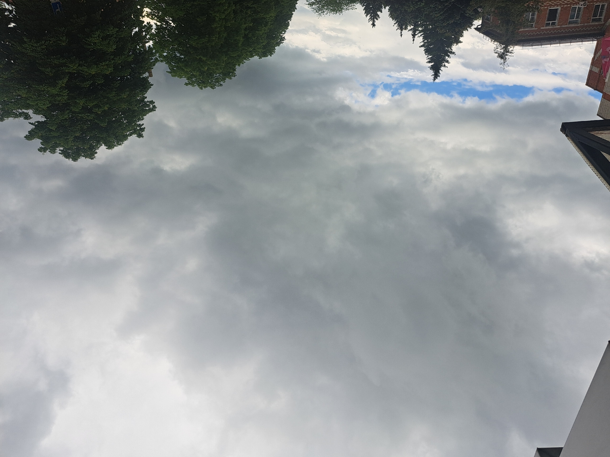 The image is an upward-facing view of a cloudy sky, with tree foliage visible at the top left and top center. A building with red bricks and windows is partially visible at the upper right. Another building with a white façade is at the bottom right. The sky is mostly overcast with gray and white clouds, and small patches of blue sky are visible through the cloud cover. The location is possibly in Leningradskaya, Russia. No people are visible in the scene.
