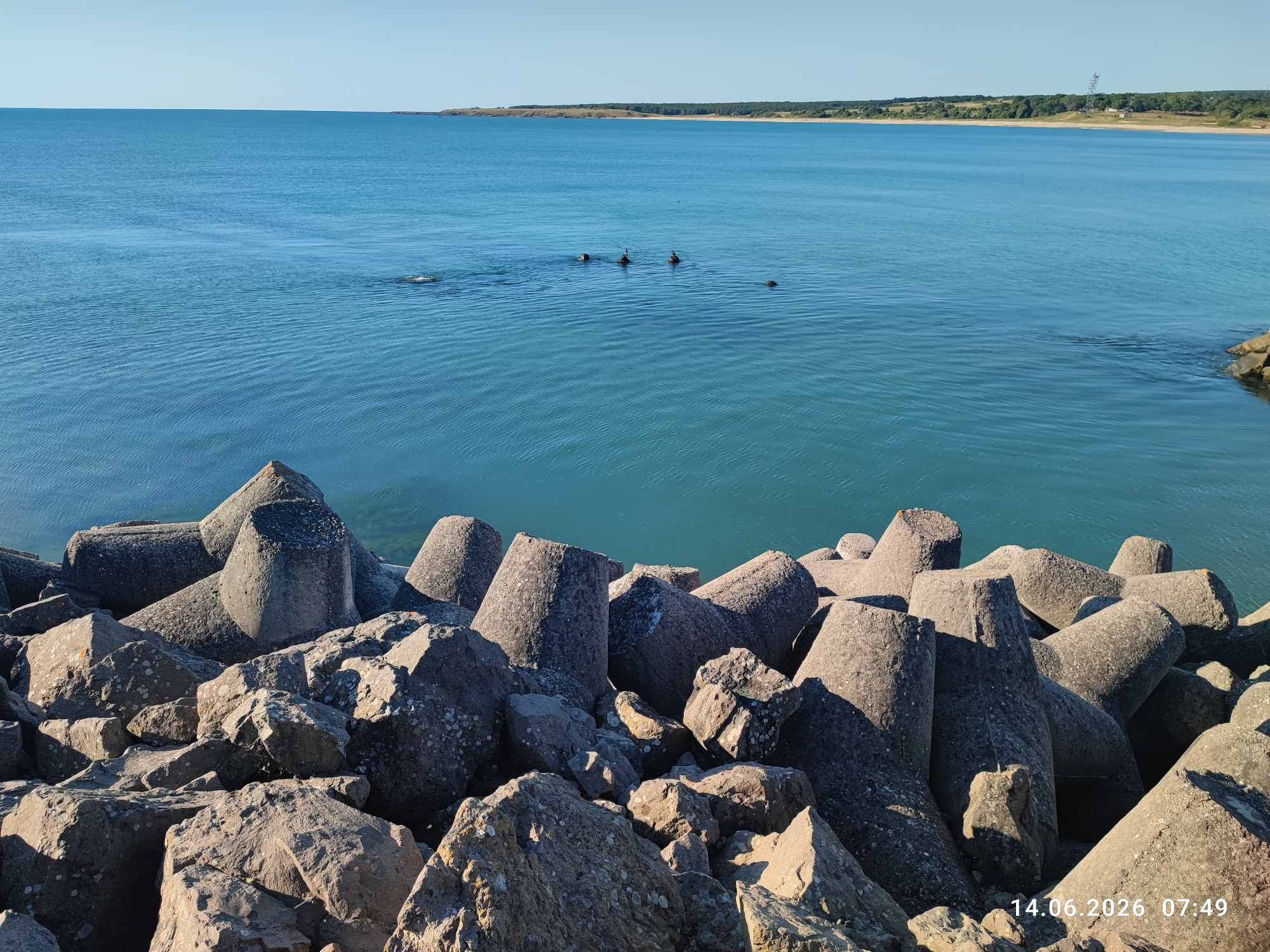 The image shows a breakwater made of concrete tetrapods and large rocks on the coast of Rezovo, Bulgaria. The sea is calm and a clear blue. In the distance, the coastline is visible with green trees and a few buildings. There are several birds swimming in the water in the middle ground. The sky is clear and blue. A timestamp "14.06.2026 07:49" is visible in the bottom right corner.