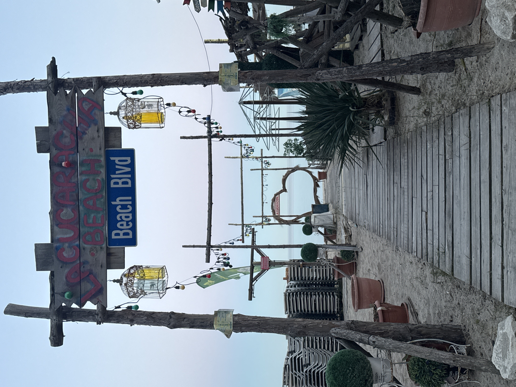 The image shows a beachfront scene in Varna, Bulgaria. In the foreground, a rustic wooden sign reads "La Cucaracha Beach Blvd". Decorative birdcages with yellow liquid inside hang from the sign. Beyond the sign, a wooden boardwalk stretches towards the beach. Stacks of chairs are visible along the boardwalk, interspersed with potted plants. In the distance, a beach bar or restaurant structure is seen, with the Black Sea visible behind it. The scene is captured in daylight under a clear sky.