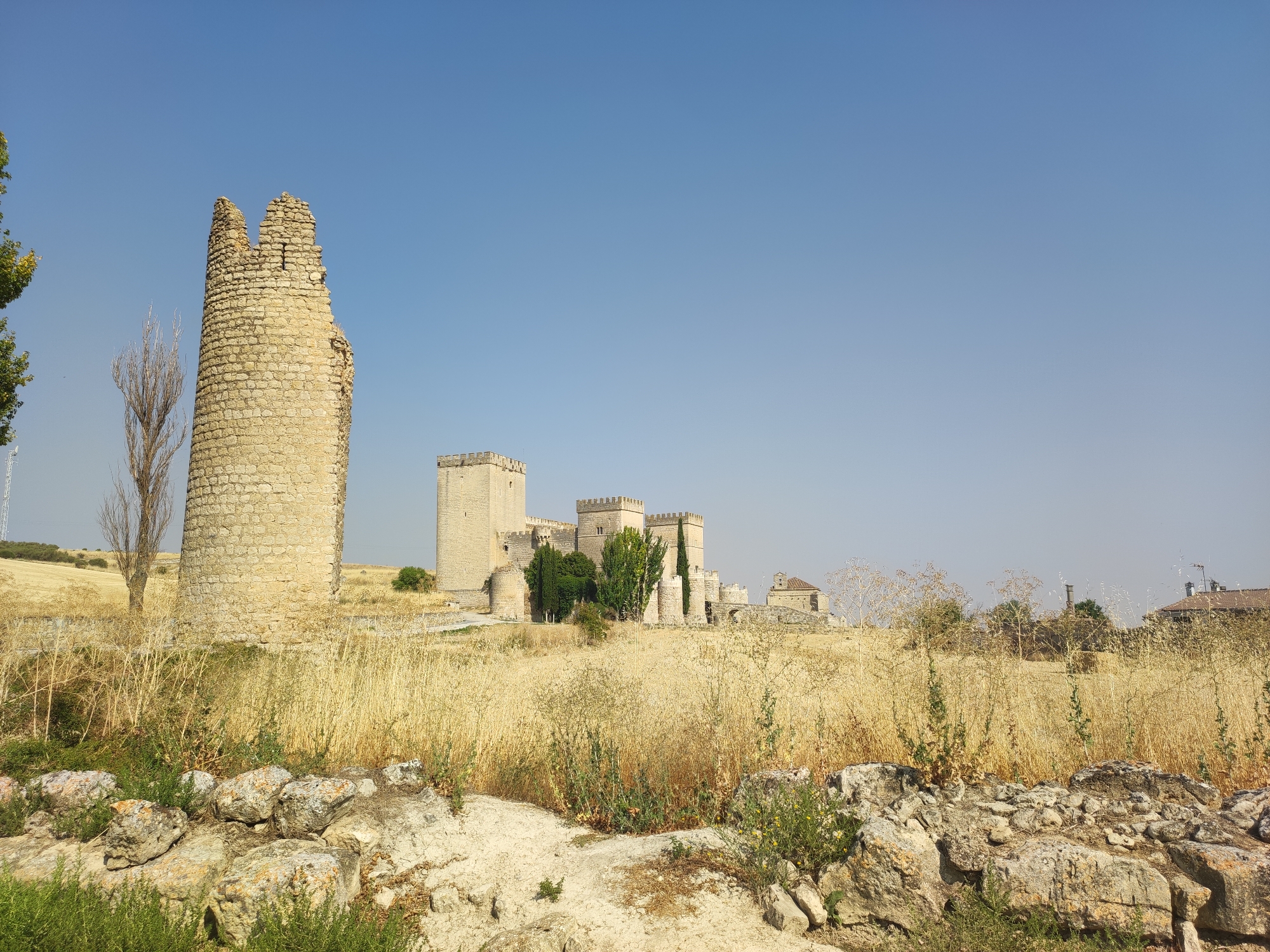 The image depicts the Alcázar de los Condes de Ampudia in the city of Ampudia, Spain, under a clear, pale blue sky. In the foreground, a low wall of rough, light-colored stones and green vegetation borders a sandy path. Beyond this, the landscape is dominated by dry, yellow grasses and a few sparse, dry trees. To the left, a tall, cylindrical stone tower, partially ruined and missing its top, stands prominently. In the middle ground, a large stone castle complex with multiple towers and battlements is visible, surrounded by some green trees. Further in the background, additional stone structures and buildings with tiled roofs can be seen, partially obscured by dry vegetation. The overall environment suggests a dry, sunny day in a historical setting.