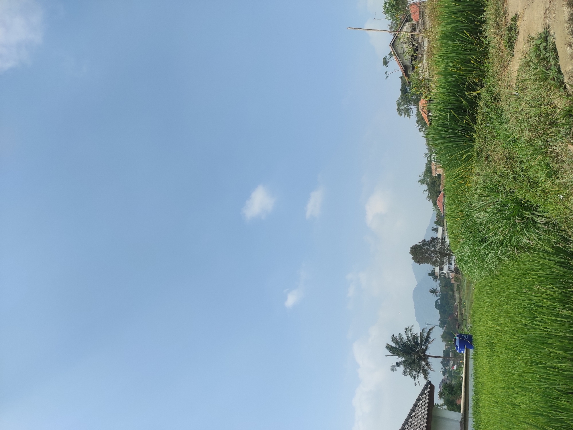 The image depicts a rural landscape with lush green rice paddies under a bright blue sky with scattered white clouds. In the foreground, a dirt path runs alongside the rice fields. Several houses and buildings are visible in the mid-ground, nestled among trees and the rice paddies. A prominent feature is a tall palm tree to the left of the frame, and a large blue water tank is situated near a house. In the background, rolling hills and mountains create a scenic backdrop. The overall impression is of a serene and idyllic countryside scene, likely located in a rural area such as Sumedang, Indonesia, given the characteristic landscape and architecture.