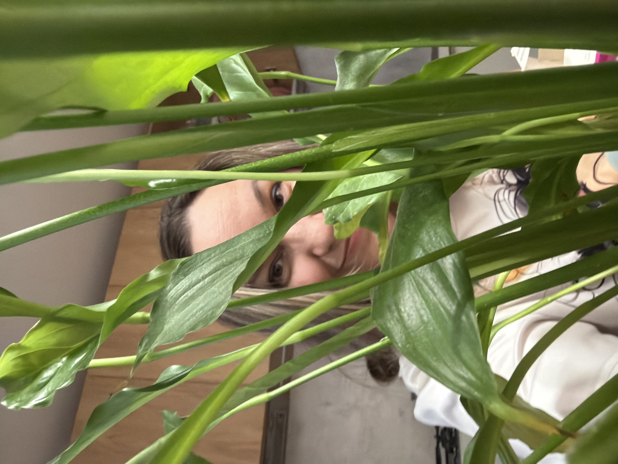 A woman's face is partially visible amidst dense, green vegetation, possibly a houseplant. The woman has fair skin and is looking into the camera. Parts of a room can be seen behind the plant, including a wooden table or surface. The setting is indoors, but the image does not contain enough information to confirm the location within the city of Chaikovsky, Russia.