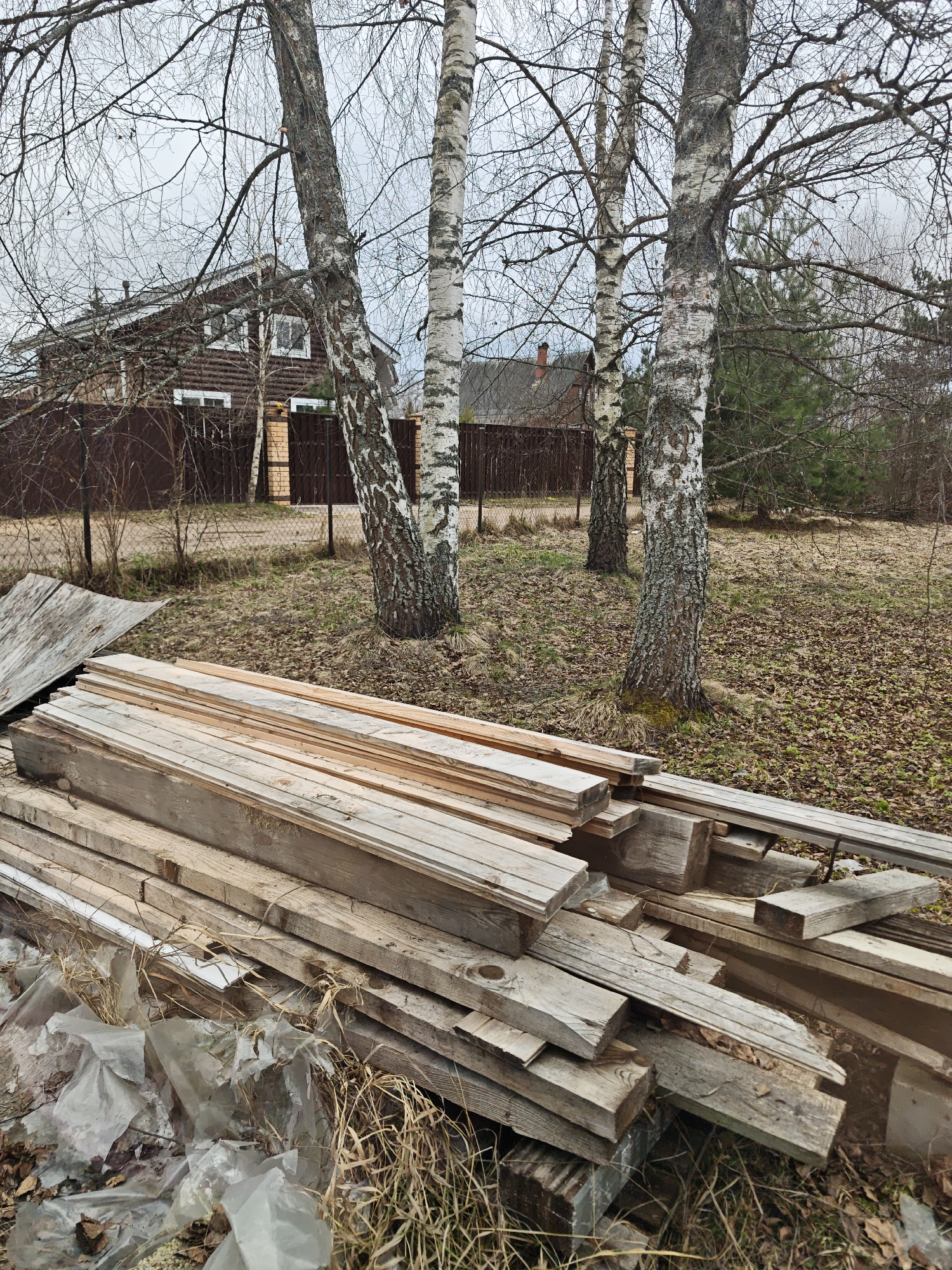 The image depicts a residential scene in Свистуха, Russia, likely a rural or suburban area. A pile of weathered wooden planks and debris, covered partially with plastic sheeting, sits in the foreground. Behind the planks, the ground is covered in dry leaves and grass. Three birch trees stand amidst the foliage, their bare branches reaching towards a cloudy sky. A brown, two-story house with white-framed windows is partially visible behind a dark brown fence in the background. Another roof is seen in the distance. The lighting suggests an overcast day, typical of late autumn or early spring. There are no people visible in the image.