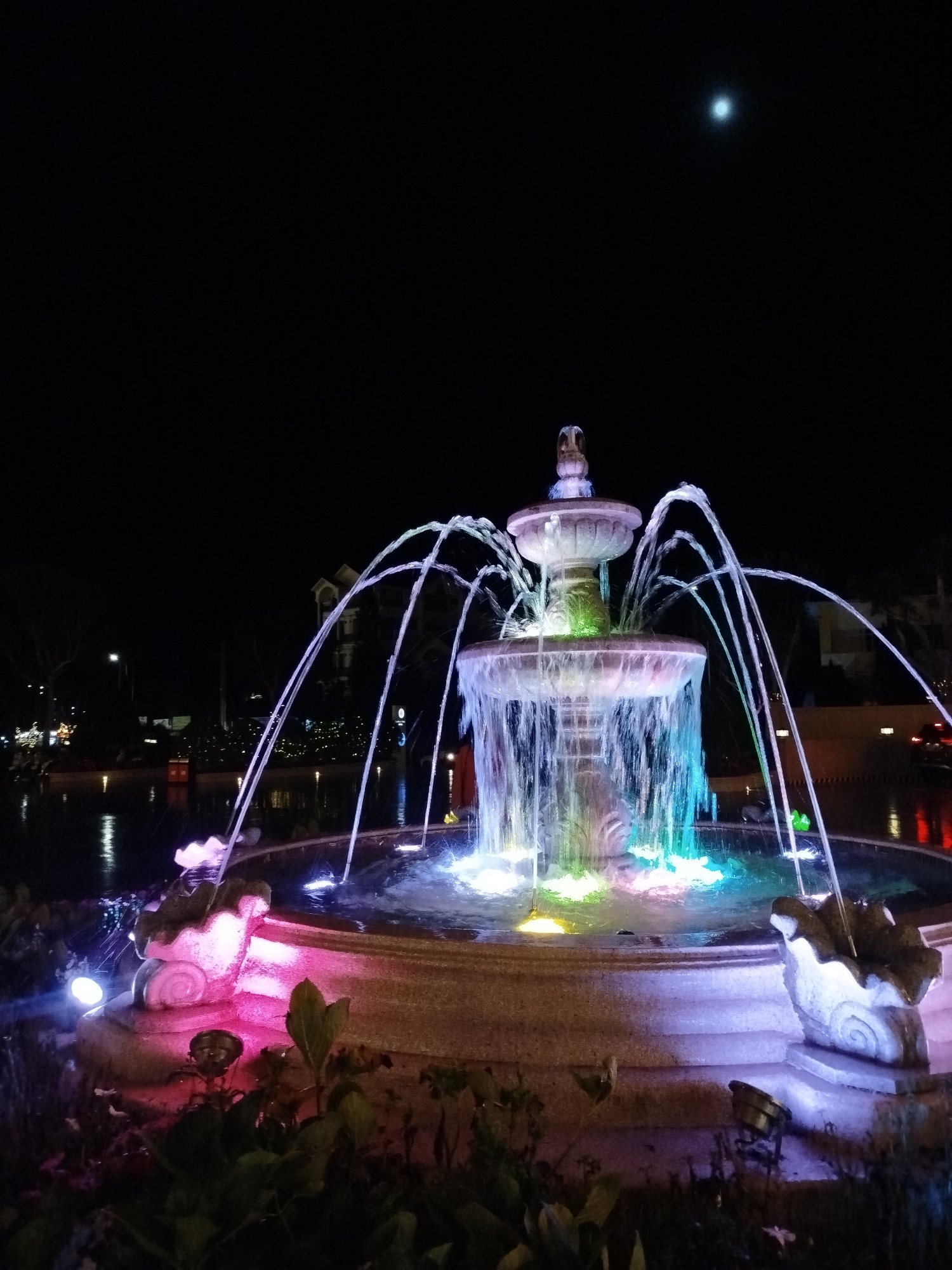 Captured at night in Lâm Viên - Đà Lạt, Vietnam, the image features a multi-tiered fountain illuminated with a spectrum of colors including pink, blue, and green. The fountain's water jets arch and cascade into the basin. The fountain is surrounded by greenery, and at the edges, decorative elements resembling shells. In the background, there is a body of water reflecting the lights, and building outlines. In the dark sky, a bright light source, possibly the moon, is visible.