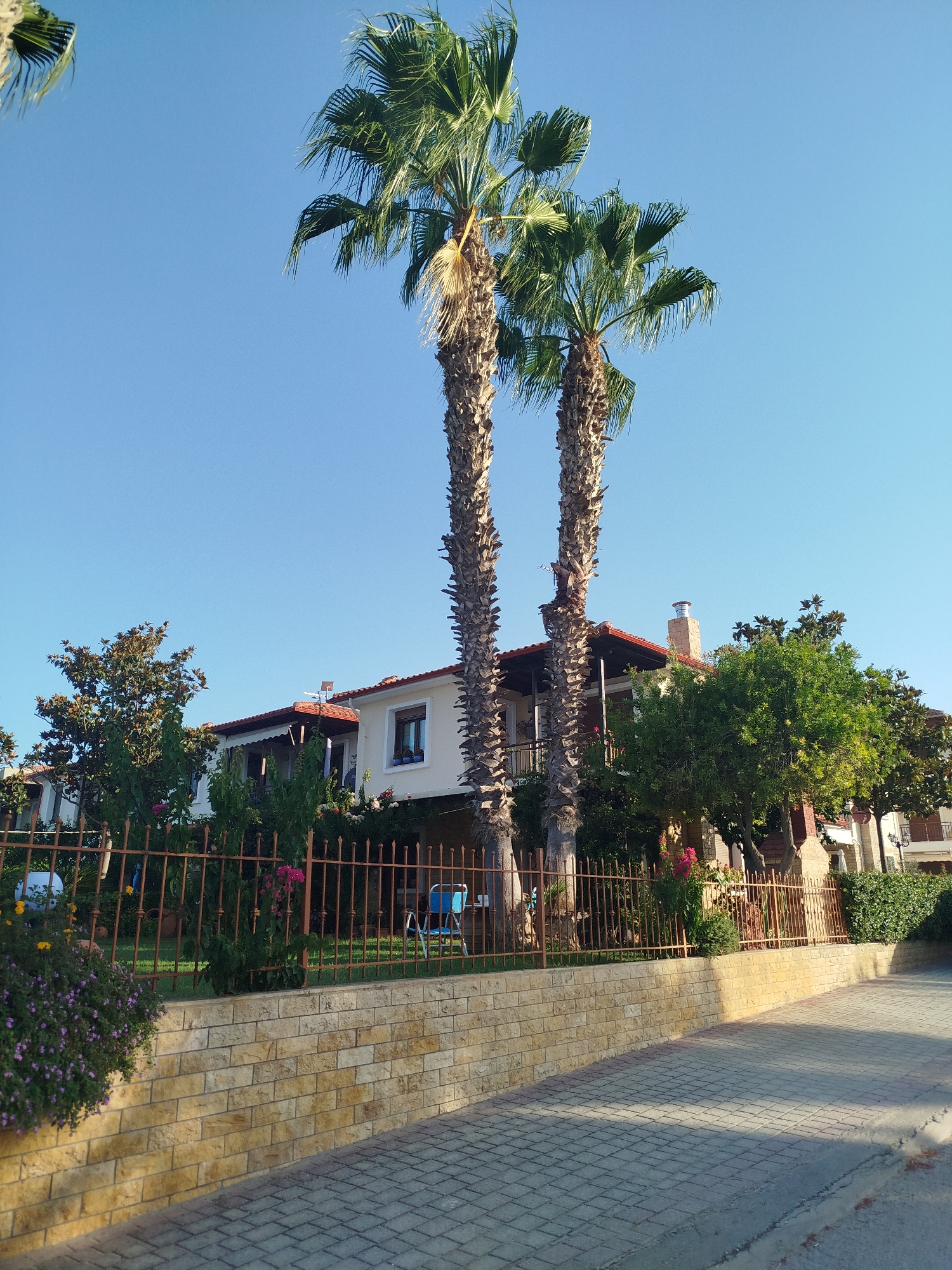 This is a daytime, outdoor, eye-level, full shot of a residential building with a garden, located in Sithonia Municipal Unit, Greece. The building is a two-story structure with white walls, a red-tiled roof, and balconies. Two tall palm trees stand in front of the building, flanking the entrance. A brown metal fence surrounds the property, and a stone retaining wall lines the front of the garden. The garden features various trees, shrubs, and flowers. A blue chair is visible on the lawn behind the fence. The ground in front of the retaining wall is paved with interlocking bricks. The sky is clear and blue.
