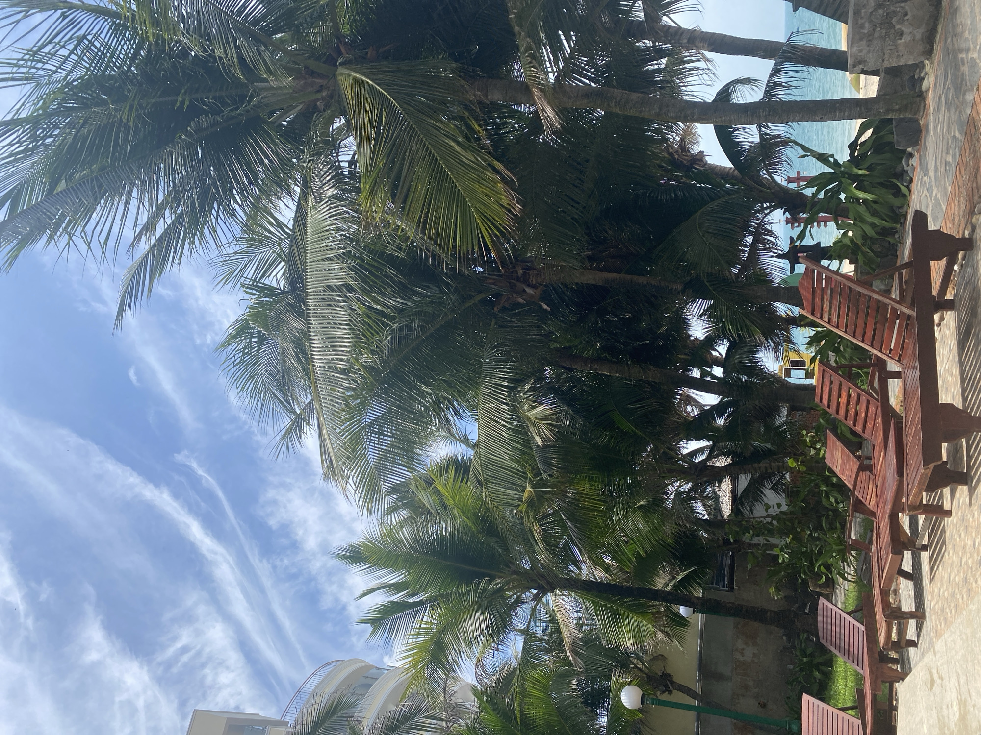 In the city of Phu Thuy Ward, Vietnam, a resort scene unfolds under a partly cloudy sky with wispy cirrus clouds. Several wooden lounge chairs, stained a deep reddish-brown, are positioned on a paved area, suggesting an outdoor seating space. Beyond the chairs, lush green vegetation, including palm trees and other tropical plants, creates a dense canopy, partially obscuring the view of a building and the sea in the distance. The building, visible on the left, appears to be a multi-story structure with a curved facade. The palm trees, with their fronds reaching towards the sky, dominate the midground and frame the scene. The ocean is visible in the background, a calm blue stretching to the horizon. The overall atmosphere is tranquil, evoking a sense of relaxation and vacation. There are no people visible in the frame, and no active actions are taking place. The image captures a moment of stillness at a tropical resort.