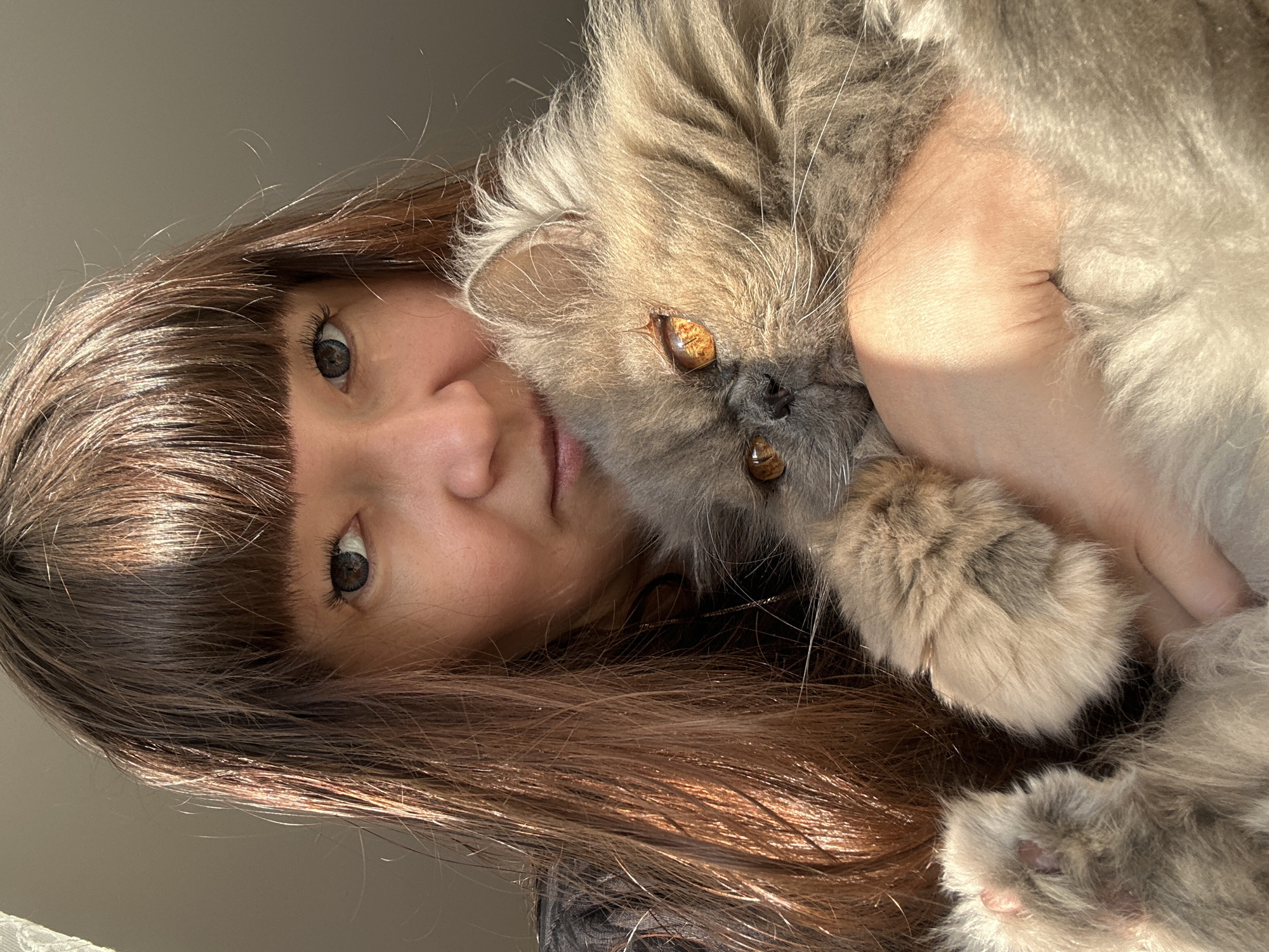In the city of Chaikovsky, Russia, a woman with long, brown hair and bangs holds a fluffy, gray cat with amber eyes. The woman is wearing a dark top, and the cat is nestled in her arms, its paws visible. Sunlight streams in from the left, illuminating the hair and the cat's fur, creating a warm glow. The background is a plain, light gray wall.