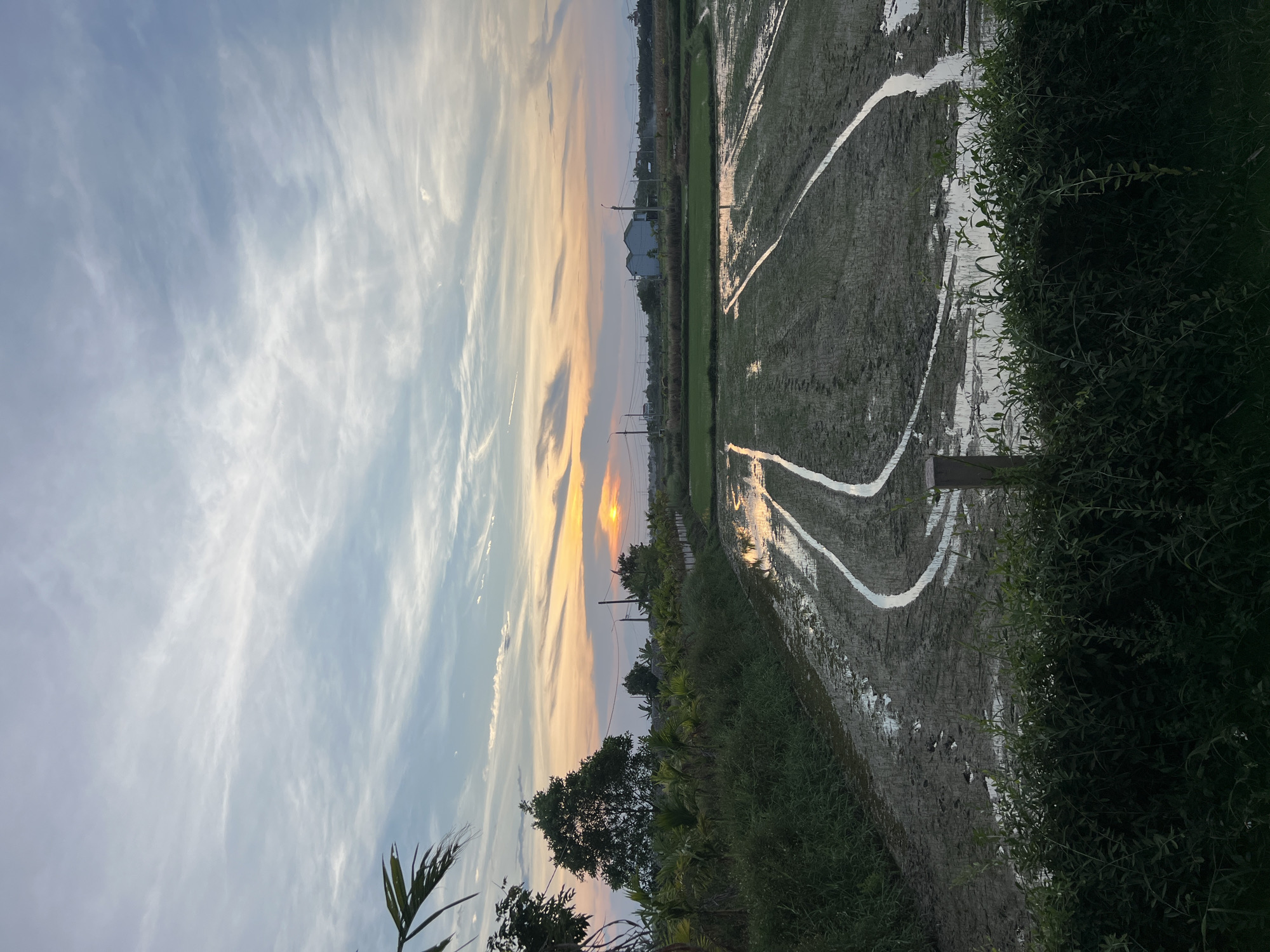 This is a photograph of a rice paddy field at sunset in the city of Da Nang, Vietnam. The sky is filled with wispy clouds, and the sun is setting on the horizon, casting an orange glow. The rice paddy is partially flooded, and reflections of the sky and trees can be seen in the water. There are several buildings in the distance, and some trees and vegetation line the edge of the field. The overall impression is one of tranquility and natural beauty.