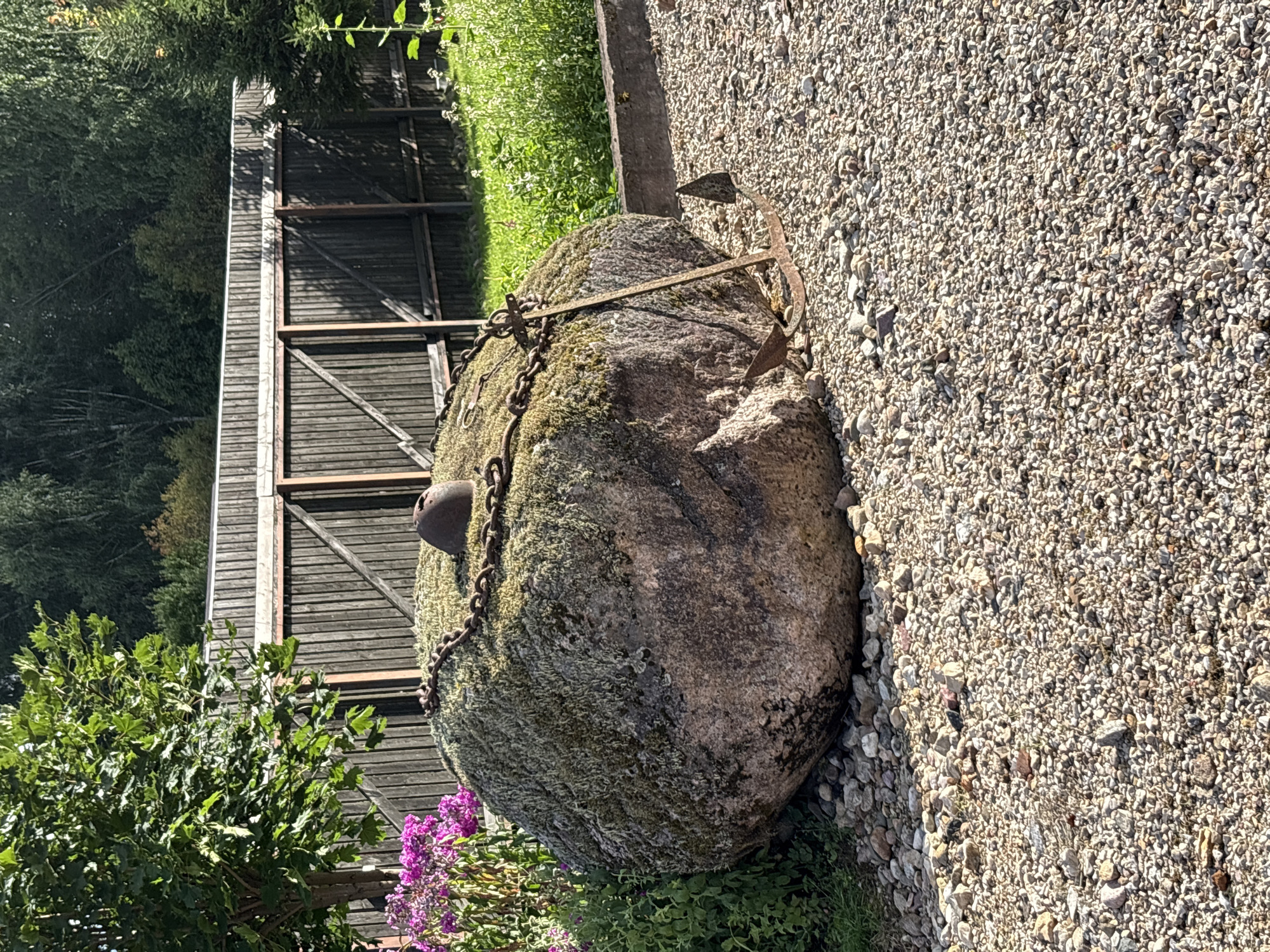 The image shows a large, moss-covered boulder in a yard. A rusty anchor is propped against the boulder, and a thick metal chain wraps around the top of it. A small, dark, rounded object sits on top of the boulder, partially obscured by the chain. The boulder is situated on a bed of small, light-colored gravel. To the left of the boulder, there is a patch of green foliage and some pink flowers. In the background, a tall, weathered wooden fence runs horizontally across the frame, with trees and greenery visible behind it. The scene appears to be outdoors on a sunny day. There are no people present in the image. The location is identified as Zhalybnya, Russia.