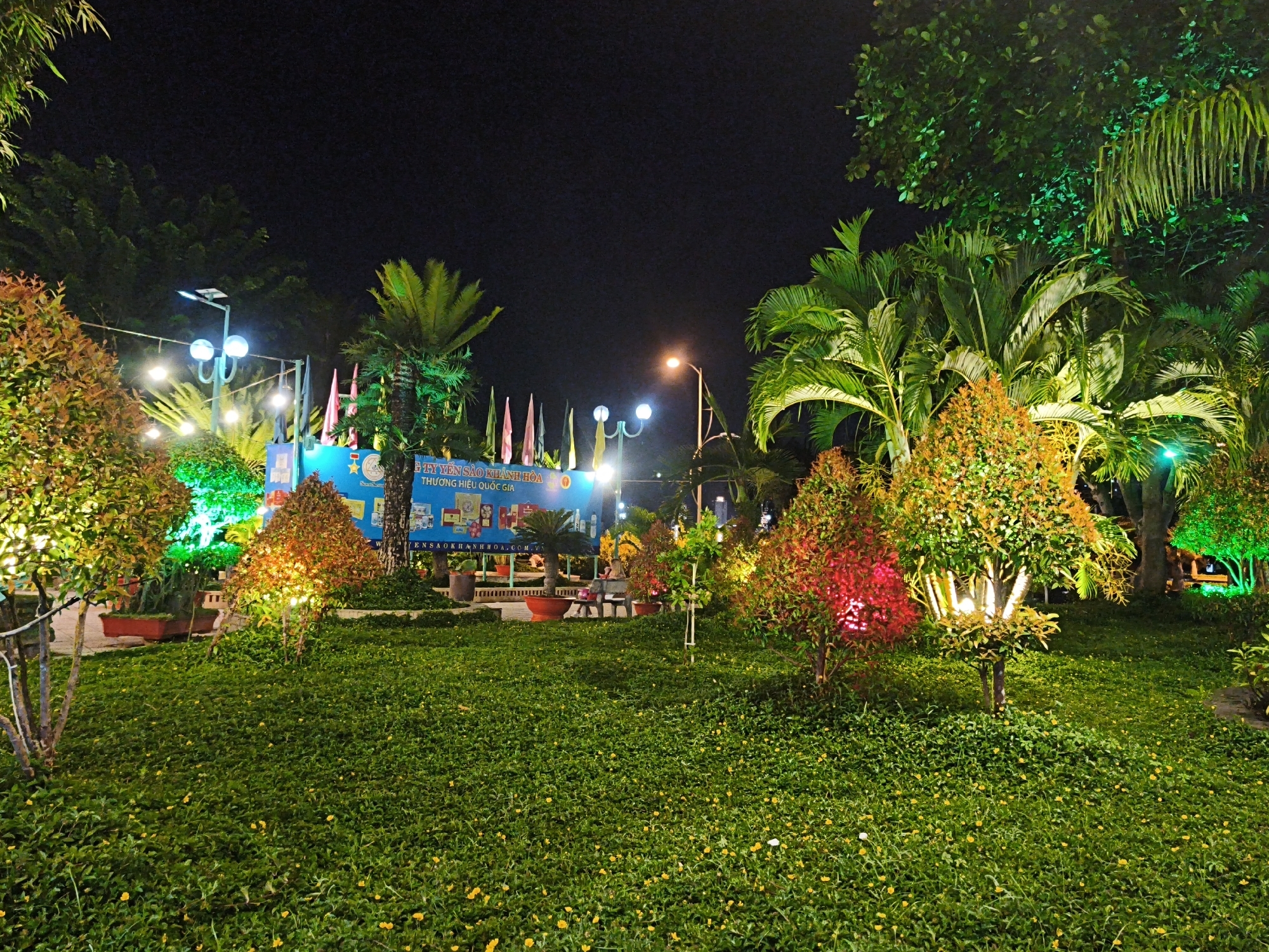 The image depicts a park area at night, illuminated by artificial lights. The scene features a well-maintained lawn covered in small yellow flowers, bordered by trees and shrubs that are lit with various colored lights. In the background, a large blue banner with text is visible, along with flagpoles flying colorful flags and streetlights. Palm trees and other lush greenery are also present. The lighting creates a vibrant and festive atmosphere. The location is identified as the city of Bac Nha Trang Ward, Vietnam. There are no people clearly visible in the scene.