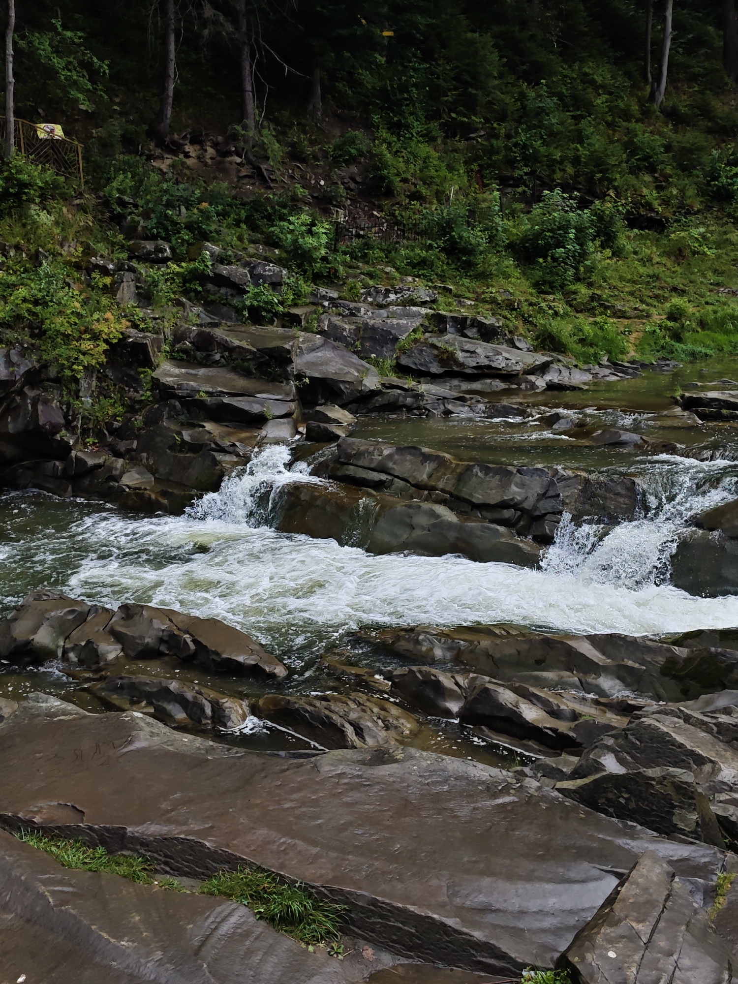 The image captures a rugged, natural scene along a riverbank in Yaremche, Ukraine. The foreground is dominated by large, dark, wet rocks, smoothed by the water, with patches of green grass growing in crevices. A river with turbulent, white water flows from left to right, cascading over more rocky formations. In the background, a steep, tree-covered slope rises, with dense green foliage and the trunks of several tall trees visible. The overall impression is one of a wild and untouched natural landscape.