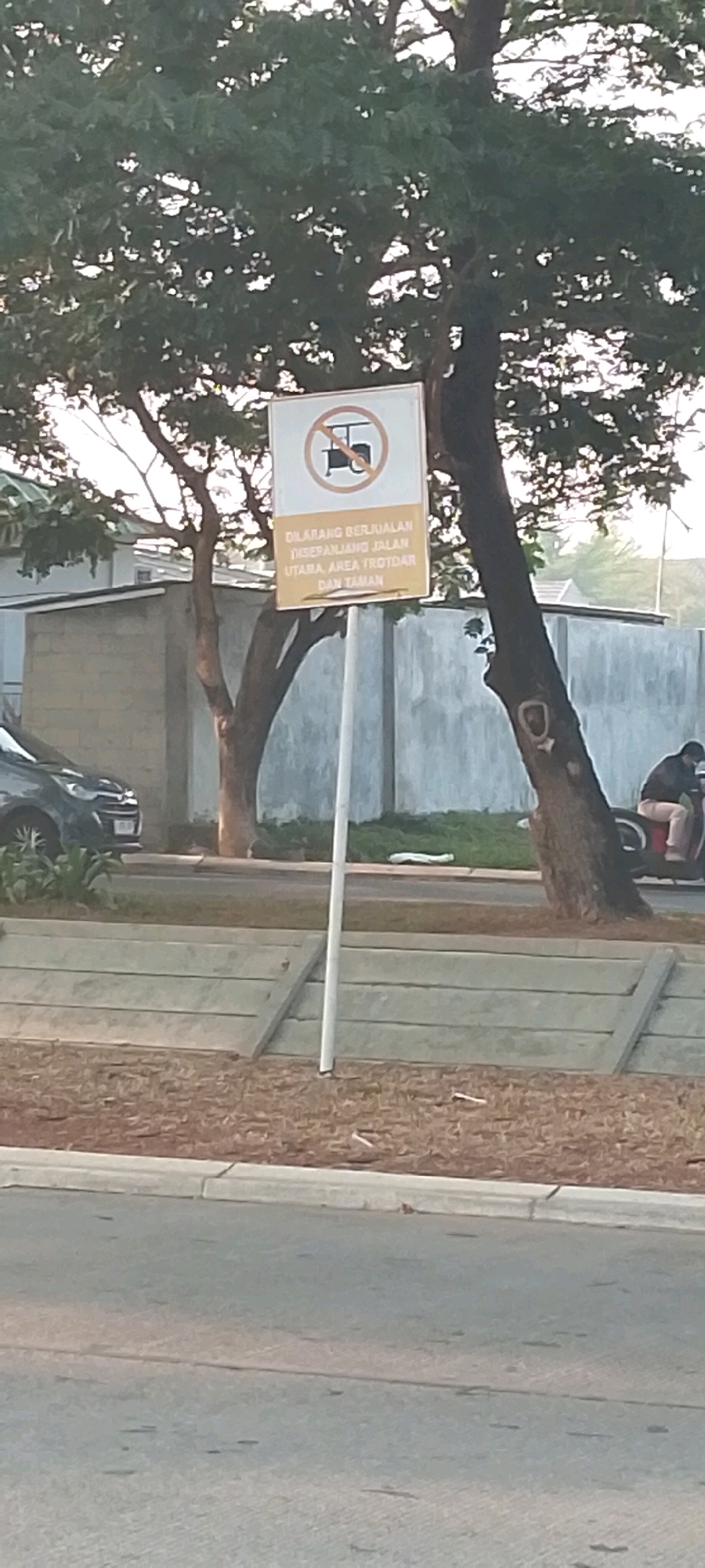 This is a medium-shot, eye-level photograph taken outdoors in Satriamekar, Indonesia. The scene depicts a street with a sign that prohibits selling on the sidewalk, main road, and park. In the foreground, a retaining wall made of concrete slabs is visible, with dry leaves and mulch on top. A grey car is parked on the left side of the frame. Behind the retaining wall, a paved road is visible, with a person riding a motorcycle in the background on the right. Trees with green foliage are present throughout the scene, with one prominent tree to the right of the sign. The sky is overcast. The sign itself is white with a circular red symbol and text in Indonesian.