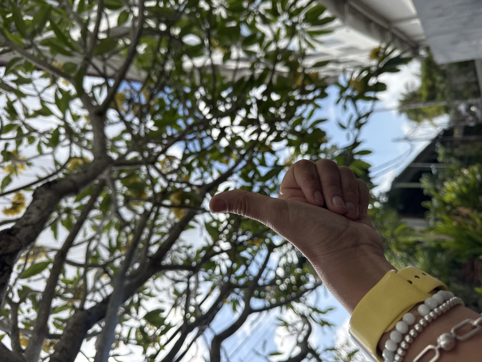 A close-up shot focuses on a left hand giving a thumbs-up gesture, with a bright yellow band on the wrist and several beaded bracelets. The hand is positioned in the foreground against a blurred background of lush green foliage, dappled sunlight, and a bright blue sky. The scene appears to be outdoors, likely in Kuta Selatan, Indonesia, given the tropical vegetation and the style of the building in the background. The image is framed from a low angle, looking upwards towards the branches of a tree laden with leaves and small yellow flowers.