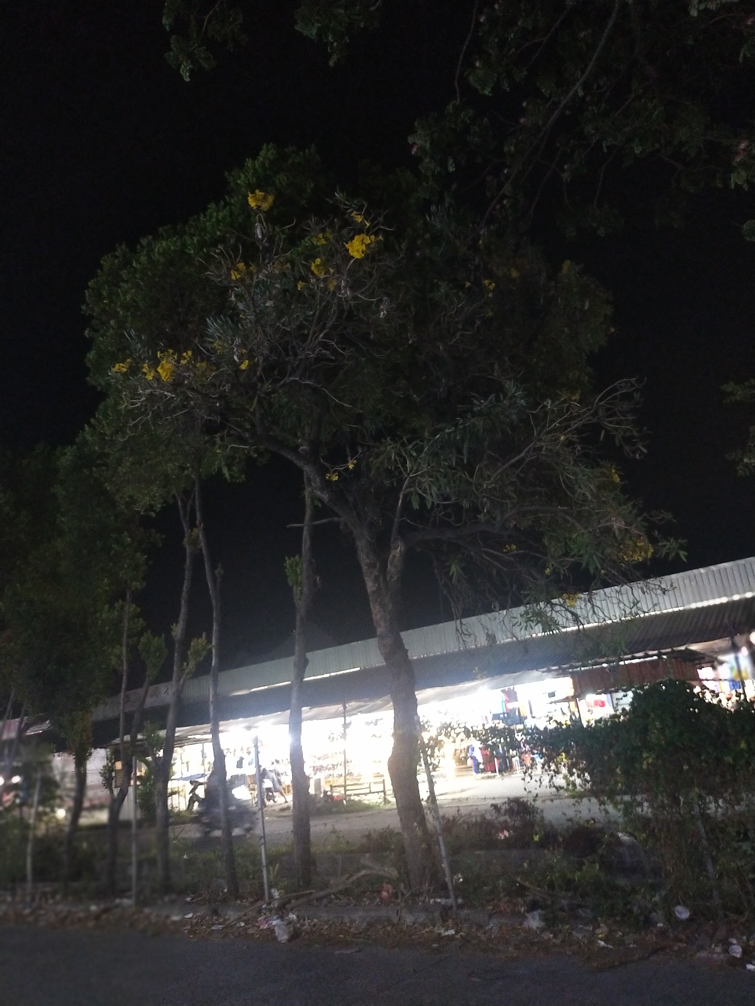 The image depicts a nighttime scene in Babakan Asem, Indonesia. A line of trees with sparse yellow flowers lines the foreground, obscuring a building with a corrugated metal roof. The building appears to be a shop or market with bright interior lighting and displays. In front of the building, several people are visible, along with motorcycles. The ground in front of the trees is covered with debris. The overall impression is a dimly lit, somewhat unkempt commercial area at night.