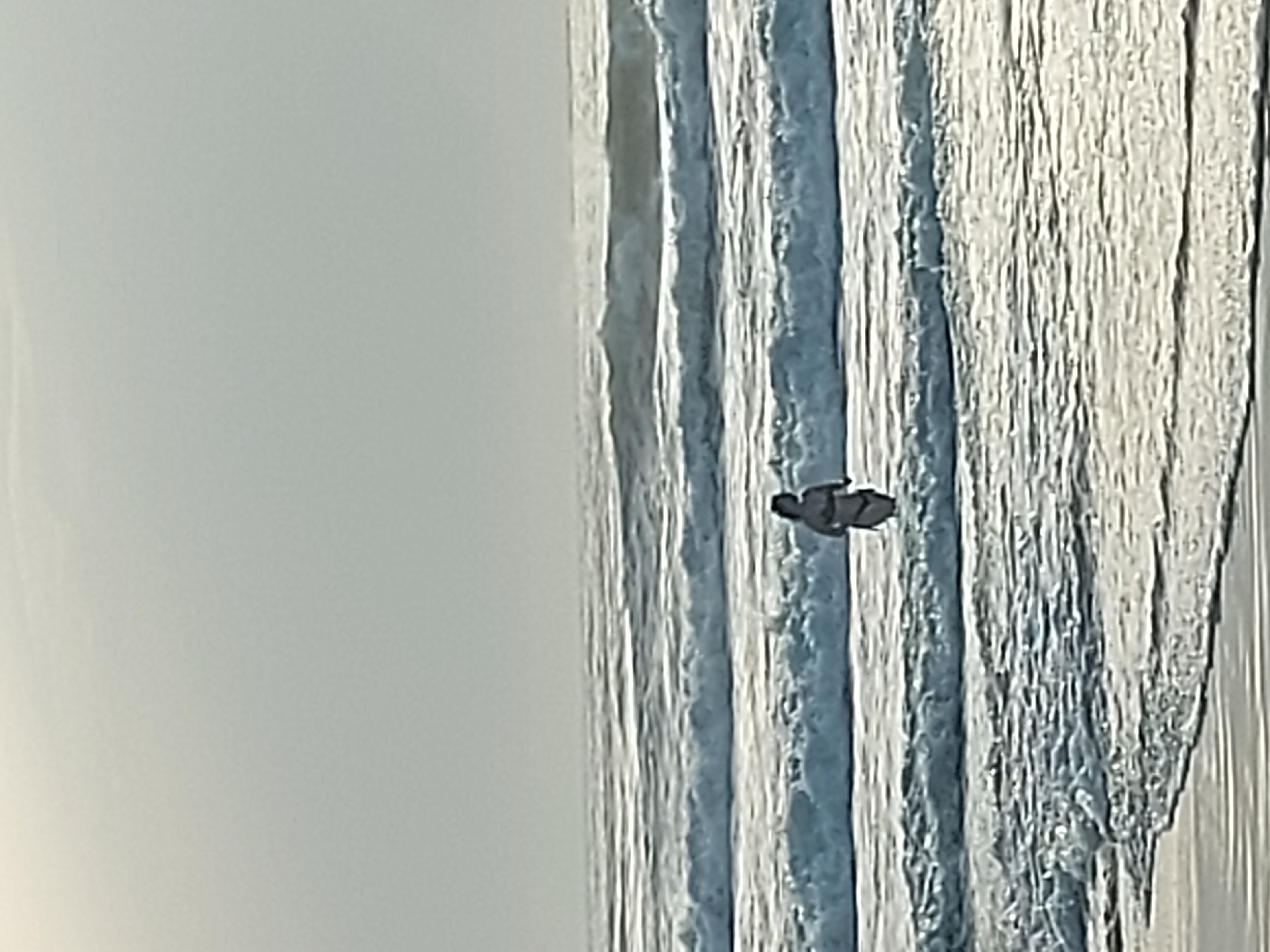 A person is surfing a wave in the ocean. The photo was likely taken at Figueira da Foz, Portugal, a coastal city known for its surfing. The person is positioned in the middle of the wave, which is large and has a textured surface. The sky is overcast.