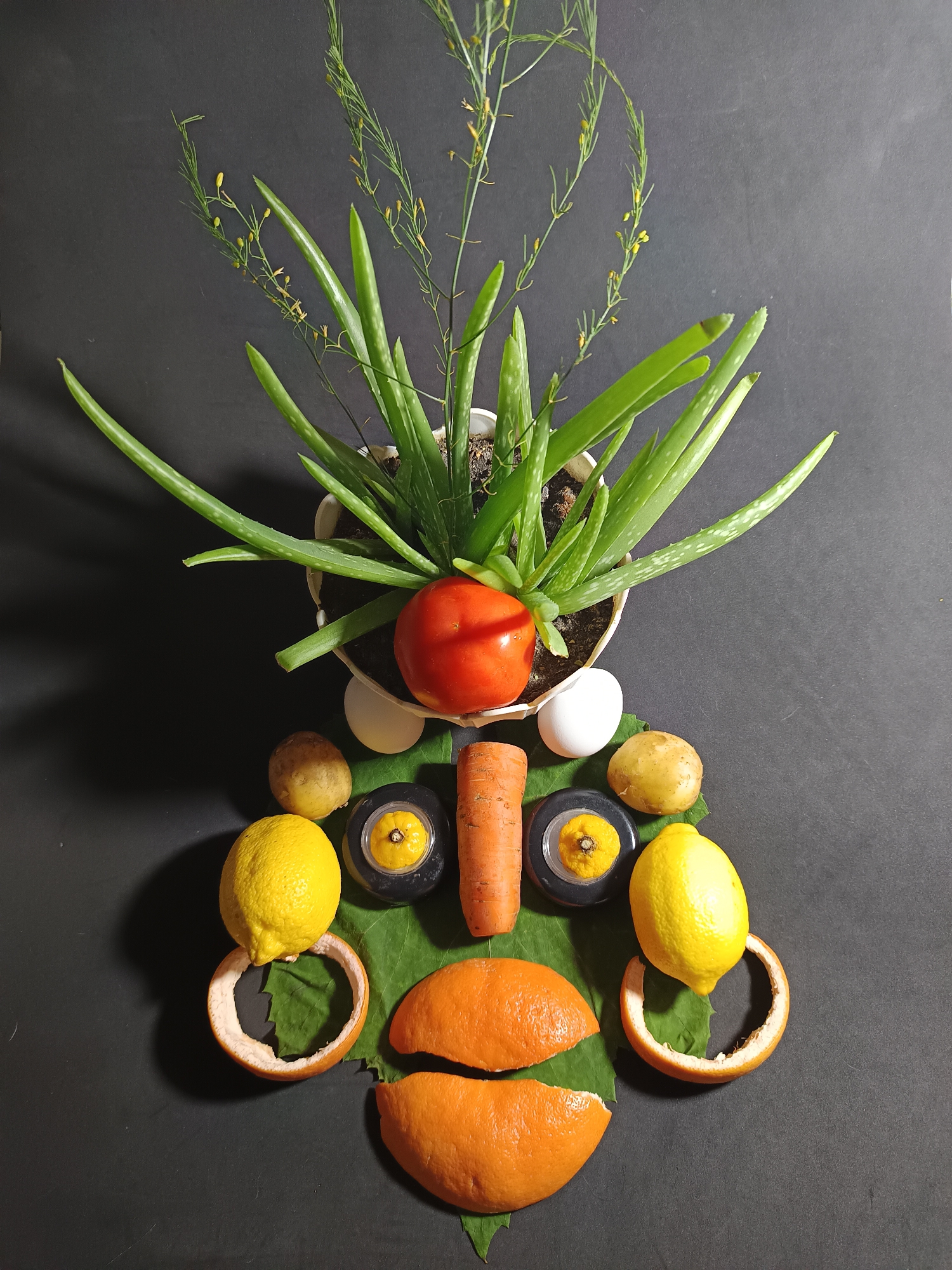 The image displays a creative arrangement of food items and a potted plant on a dark surface, resembling a face. At the top, a potted aloe vera plant with long green leaves and delicate yellow flowers forms the "hair" or "head". A single red tomato rests in front of the plant, possibly representing the nose. Two white eggs are placed below the tomato. Two small potatoes flank a carved carrot, which is centrally positioned. Two lemons are placed on either side of the carrot and potato arrangement. The "mouth" is formed by two pieces of orange peel, positioned below the other elements, on top of a large green leaf. Two black circular objects with yellow centers, possibly bottle caps or similar items, are positioned between the potatoes and lemons. The overall composition is static and appears to be a still life arrangement. There is no indication of the location in Tyshky, Ukraine, or any human presence.