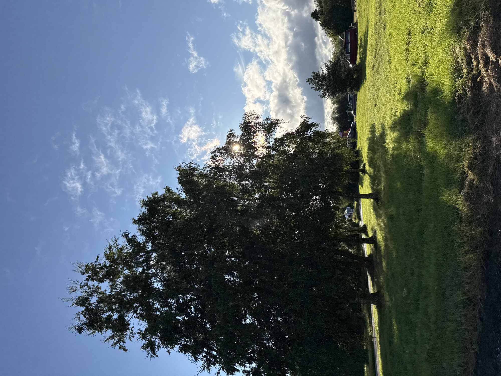 The image depicts a sun-drenched grassy field with several trees in the foreground. The sun is partially obscured by the leaves of a large tree on the left, casting dappled shadows on the grass. In the background, there are more trees, a few vehicles including a red van and cars, and a tent. The sky is blue with scattered white and gray clouds. The scene appears to be an outdoor recreational area or a park, possibly in a suburban or rural part of Tallinn, Estonia, given the presence of vehicles and a tent suggesting a campsite or picnic area.