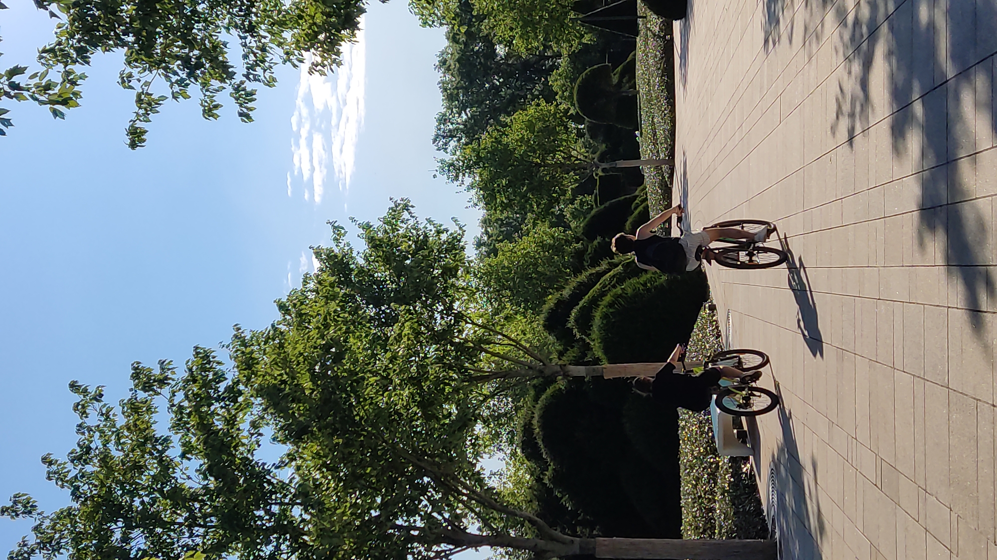 Two individuals are cycling on a paved pathway through a park or landscaped area. The person in the foreground is wearing a black t-shirt and shorts, with a black backpack. The person in the background is wearing a black t-shirt and striped shorts, also with a black backpack. Both individuals are facing away from the camera, riding their bicycles. The pathway is made of light-colored rectangular paving stones, with shadows cast on it. To the left of the pathway, there is a white bench and lush green bushes. Beyond the bushes, there are several trees with green foliage, some of which are manicured into rounded shapes. The background consists of more trees and a clear blue sky with scattered white clouds. The overall impression is a sunny day in a well-maintained outdoor space.