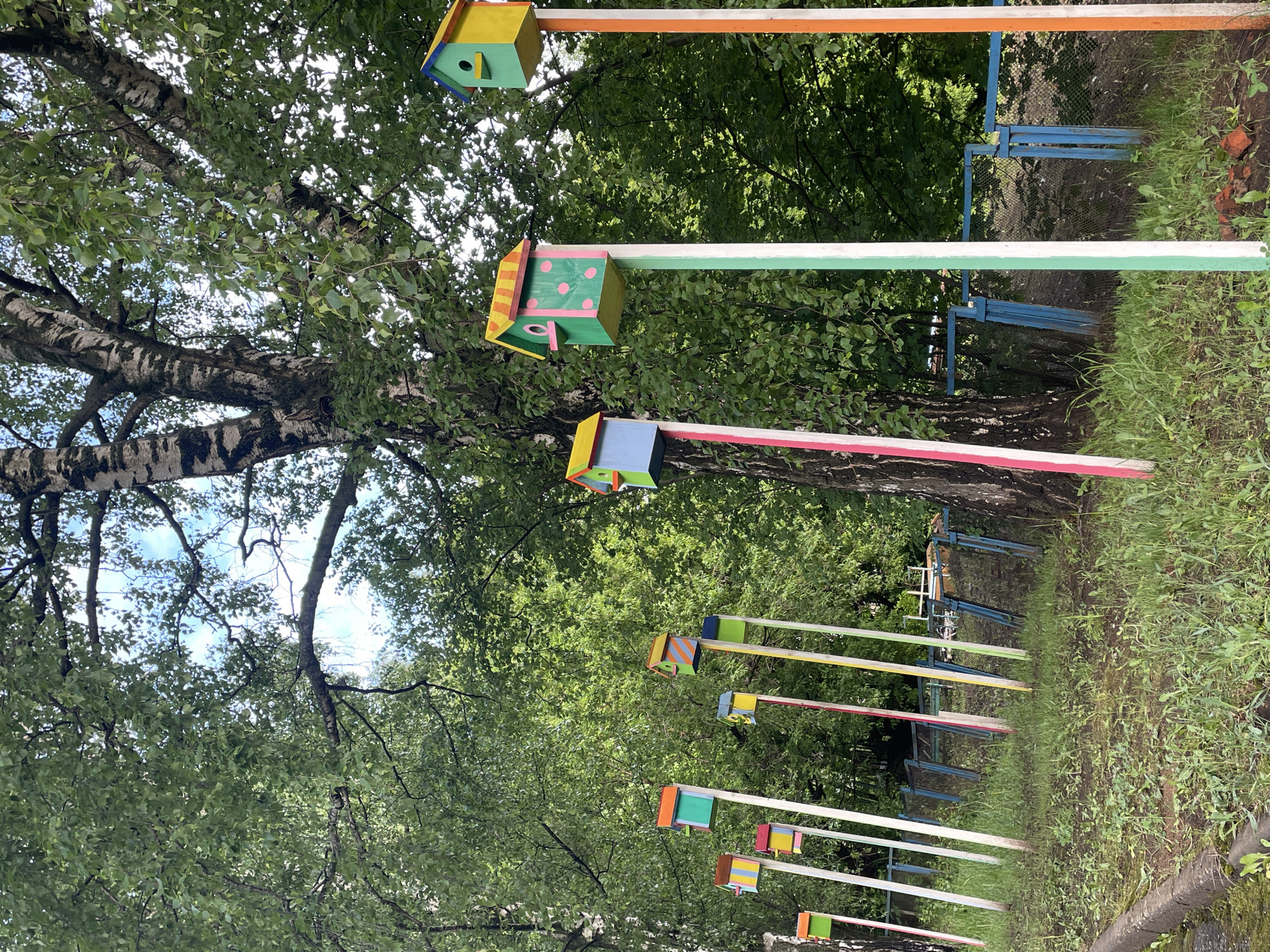 The image depicts a row of colorful birdhouses mounted on painted poles in a park setting. The location is identified as Izhevsk, Russia. The birdhouses are small, box-like structures, each painted with a different combination of bright colors. They are attached to the ends of long, wooden poles that are painted in sections with various colors. The poles stand in a grassy area underneath a canopy of trees. A birch tree with distinctive white bark and dark markings is prominent on the left side of the frame. A blue painted metal fence is also visible within the scene. The angle of the photo gives a perspective looking up towards the birdhouses against the sky. The scene appears to be a park or recreational area, possibly designed to attract birds and add visual interest to the landscape.