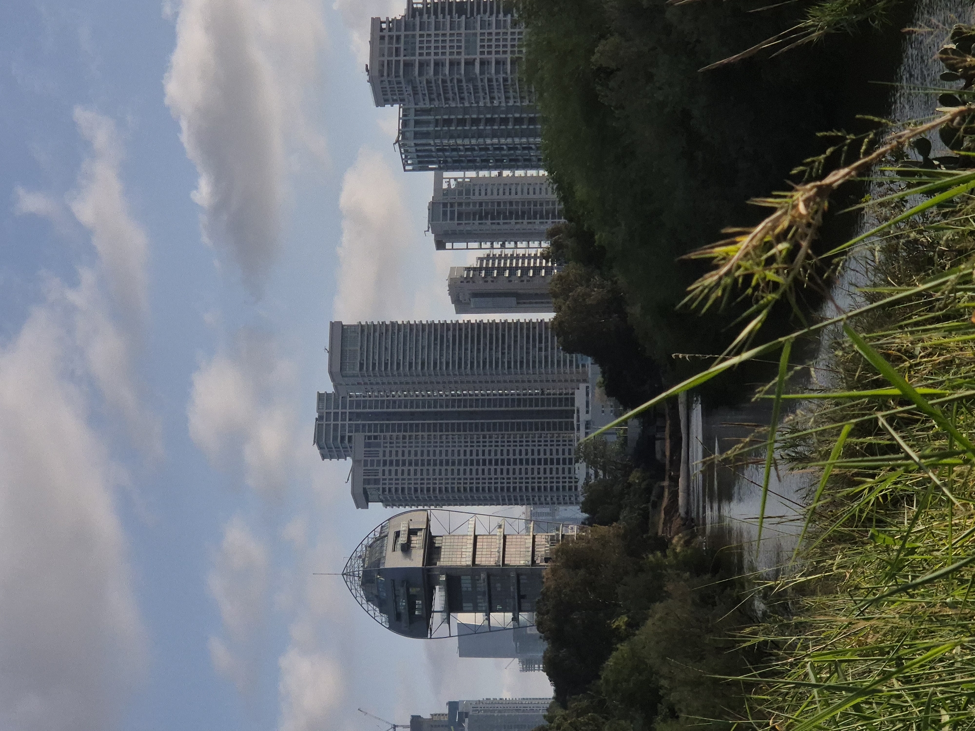 The image captures a vibrant urban landscape in Tel-Aviv, Israel, blending modern architecture with natural elements. The scene is dominated by a clear blue sky dotted with fluffy white clouds, suggesting a pleasant daytime, likely late morning or early afternoon.
In the midground and background, a series of tall, contemporary high-rise buildings form a distinctive skyline. Many of these structures appear to be residential or office towers, some displaying exposed concrete frameworks, indicating ongoing construction. A particularly notable building features a unique, rounded, and possibly boat-shaped or domed top section, constructed with glass and metal, adding an architectural point of interest.
In the foreground, a tranquil body of water, likely a river or canal, gently reflects the sky and parts of the distant buildings. The banks of this water feature are densely covered with lush green vegetation. Tall reeds and grasses are prominent in the immediate foreground, creating a natural screen, while a line of mature trees borders the water's edge, separating it from the urban sprawl.
No people or explicit activities are visible, presenting a serene view of the city's natural and built environment. The overall impression is one of harmonious coexistence between bustling city life and peaceful green spaces. There is no visible text in the image.