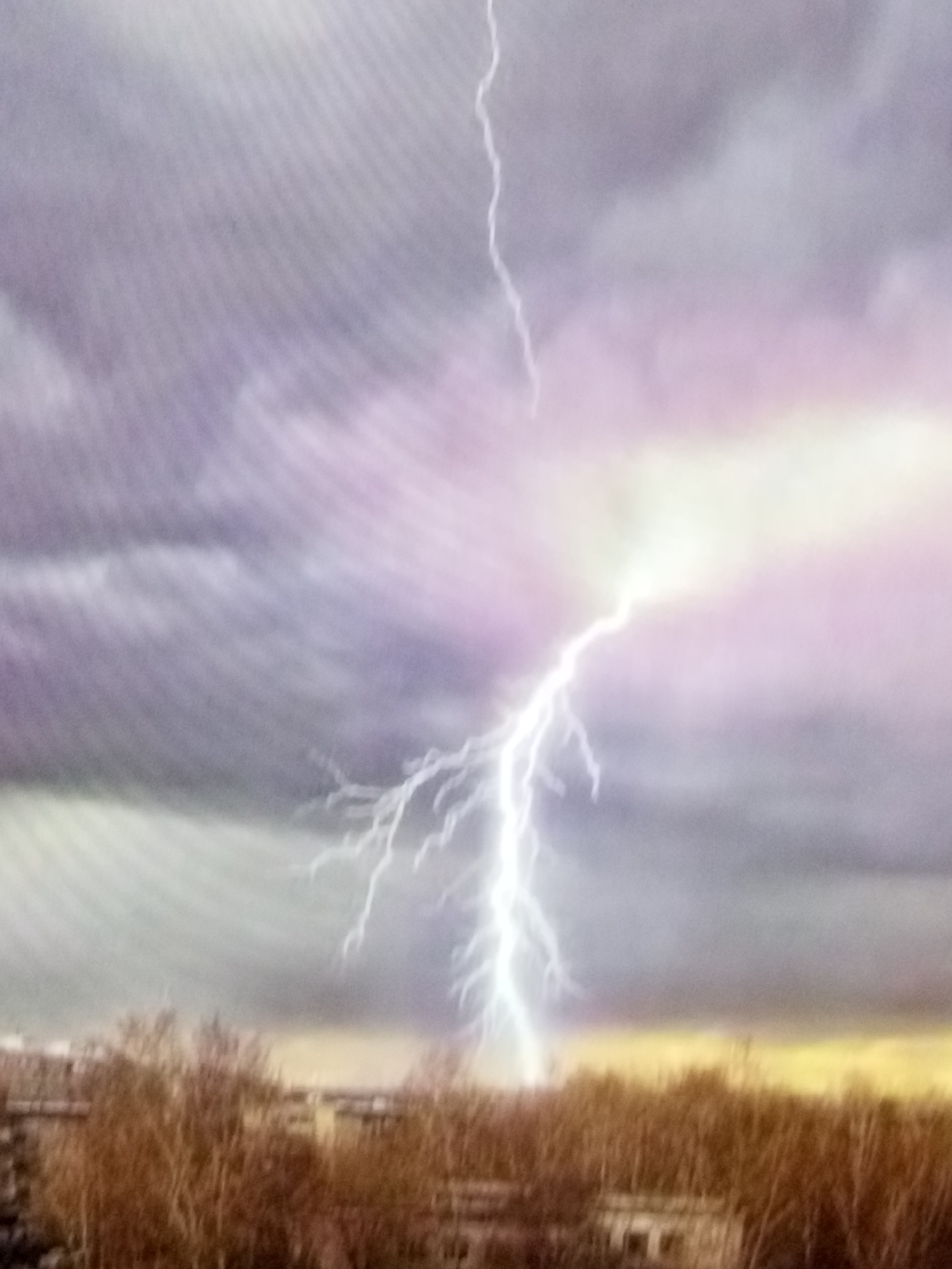 An image captures a bolt of lightning striking the sky above a city. The sky is filled with dark, stormy clouds, tinged with purple and pink hues, and illuminated by the brilliant white flash of the lightning. Below the turbulent sky, a line of trees, appearing bare and autumnal, stretches across the frame. Behind the trees, the indistinct outlines of buildings suggest an urban landscape. The overall scene conveys a sense of a powerful natural event occurring over a populated area.