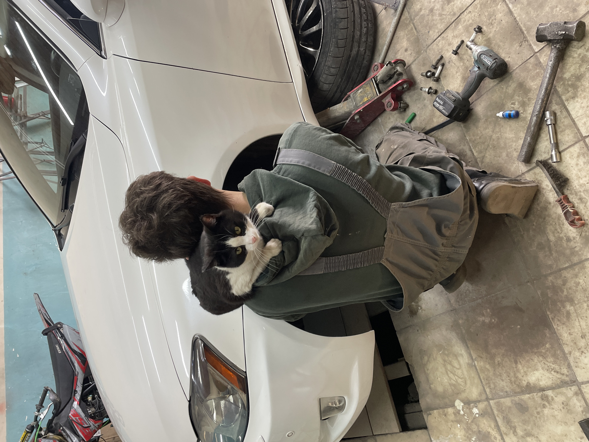 The image shows a person with dark hair kneeling next to a white car, holding a black and white cat in their arms. The location appears to be a garage or repair shop, as indicated by the presence of a car jack, tools (impact wrench, hammer, sockets), and various car parts scattered on the tiled floor. The specific location is Минино, Russia. A motorcycle is also visible in the background.