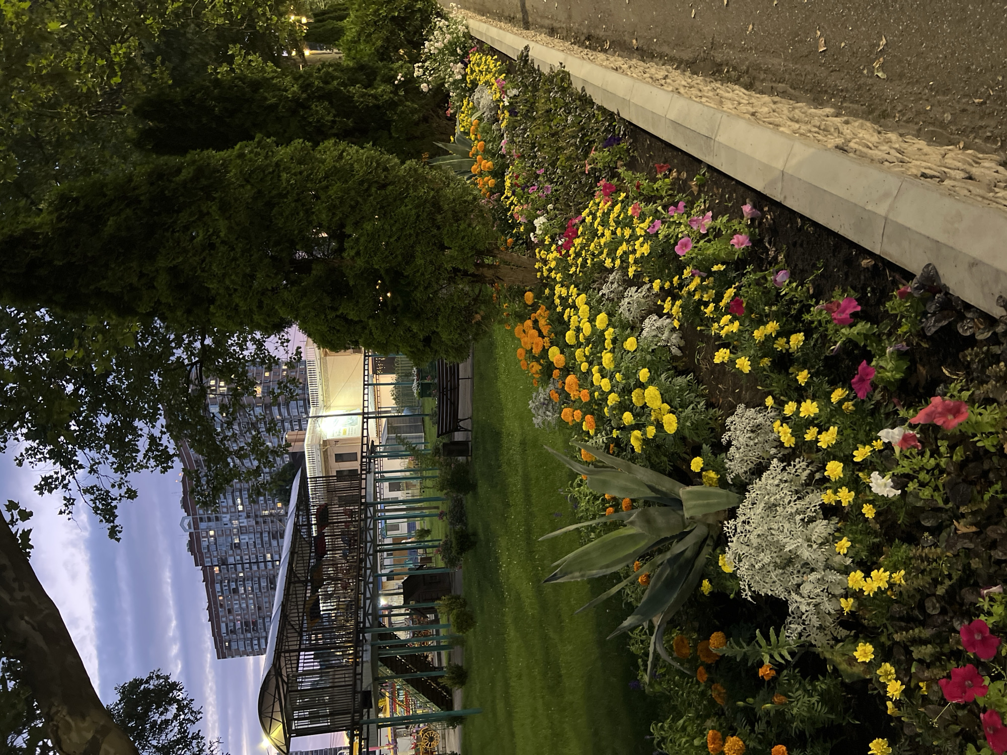 The image shows a flowerbed in a city park in Krasnodar, Russia. The flowerbed is full of colorful flowers, including yellow, orange, pink, and white varieties. There is also an agave plant in the center of the flowerbed. In the background, there is a playground with a slide and swings, a bench, and a large apartment building. The sky is purple and cloudy, indicating it is either sunrise or sunset. The overall scene is peaceful and serene, suggesting a quiet evening in the park.