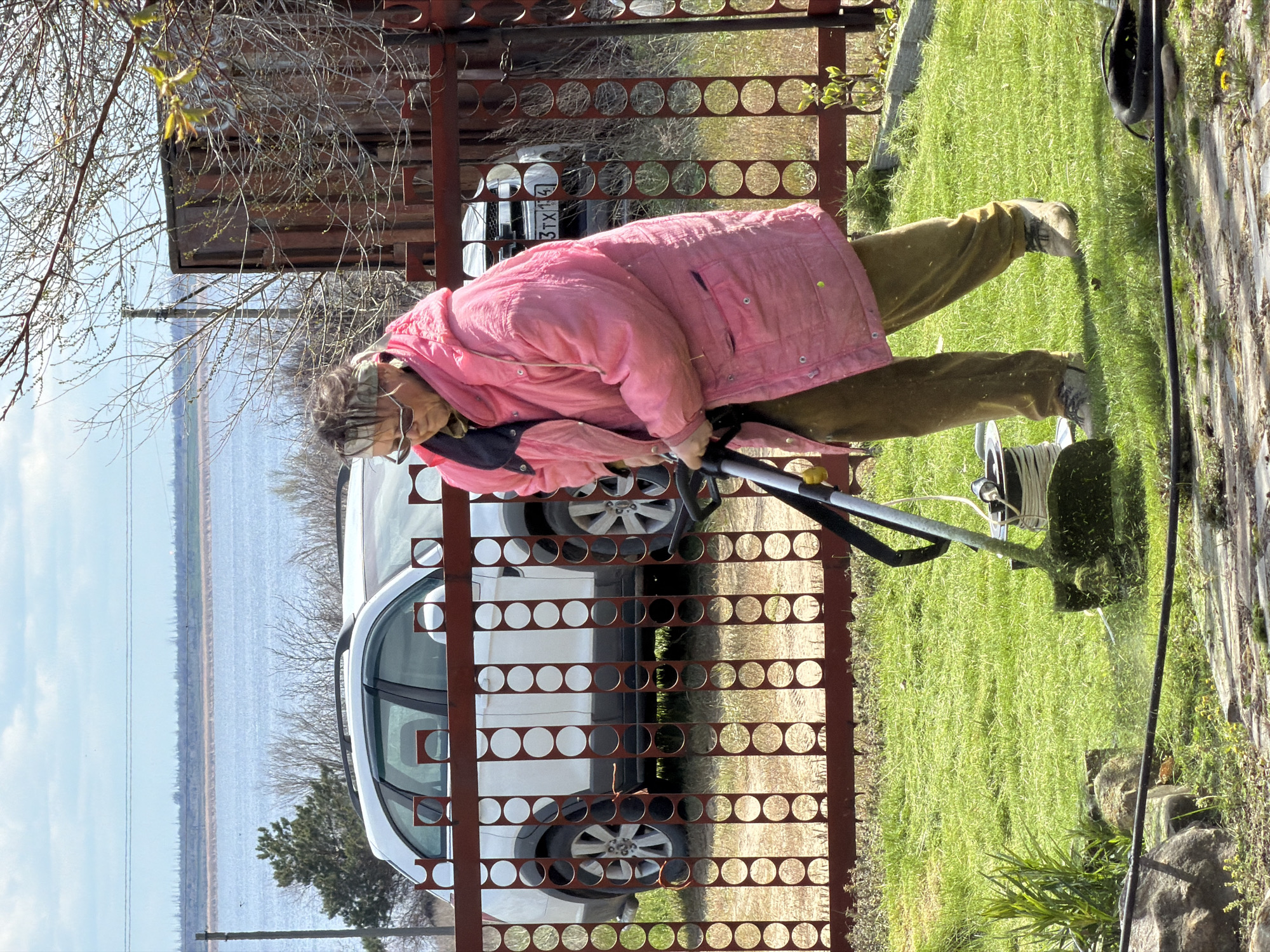 The image shows a woman using a string trimmer to cut grass in what appears to be a yard. She is wearing a pink jacket, brown pants, and protective eyewear. A brown fence with circular cutouts separates her from a white car and a body of water. In the background, trees and a building are visible. The license plate visible on the car is 3TX141. This is the city of Kamyshin, Russia.
