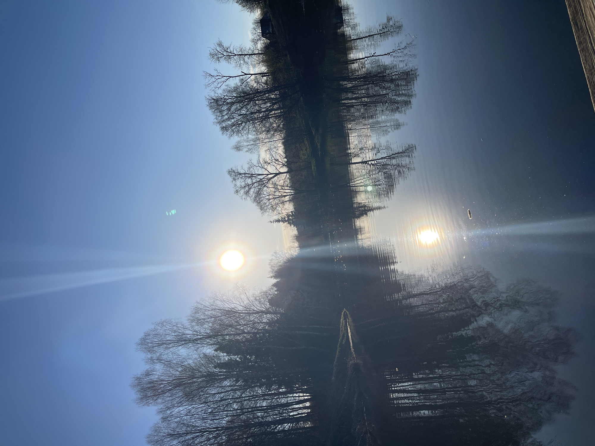 The image depicts a reflection of a tree line and the sun in water. The trees are mostly bare of leaves. The sky is blue. The reflection is distorted, indicating movement in the water. The bright glare of the sun is visible both directly and in reflection. A portion of a wooden structure is visible on the right side of the frame, possibly a dock or pier. The location is assumed to be in Zhigalki, Russia.