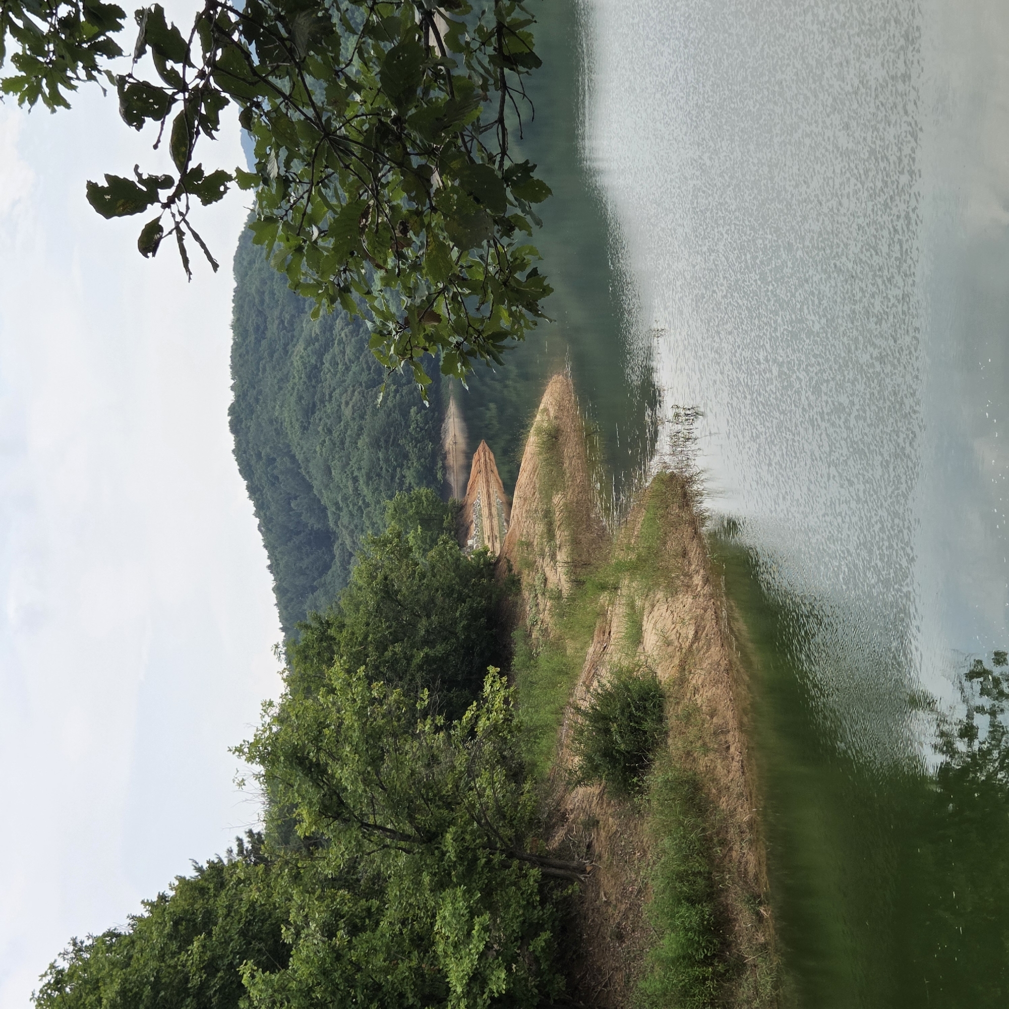The image depicts a serene natural landscape at a reservoir in Gapcheon-myeon, South Korea. On the left side, a sandy embankment is covered with various green grasses and small bushes. Lush trees with dense foliage line the embankment, extending towards the background. The water body in the foreground is calm, with ripples reflecting the overcast sky and the surrounding greenery. In the distance, rolling hills covered in dense green forests ascend towards the horizon, under a pale, cloudy sky. A branch with large, green, serrated leaves extends into the frame from the upper right corner, partially obscuring the view of the distant hills and sky. The scene is devoid of any human presence or activity.