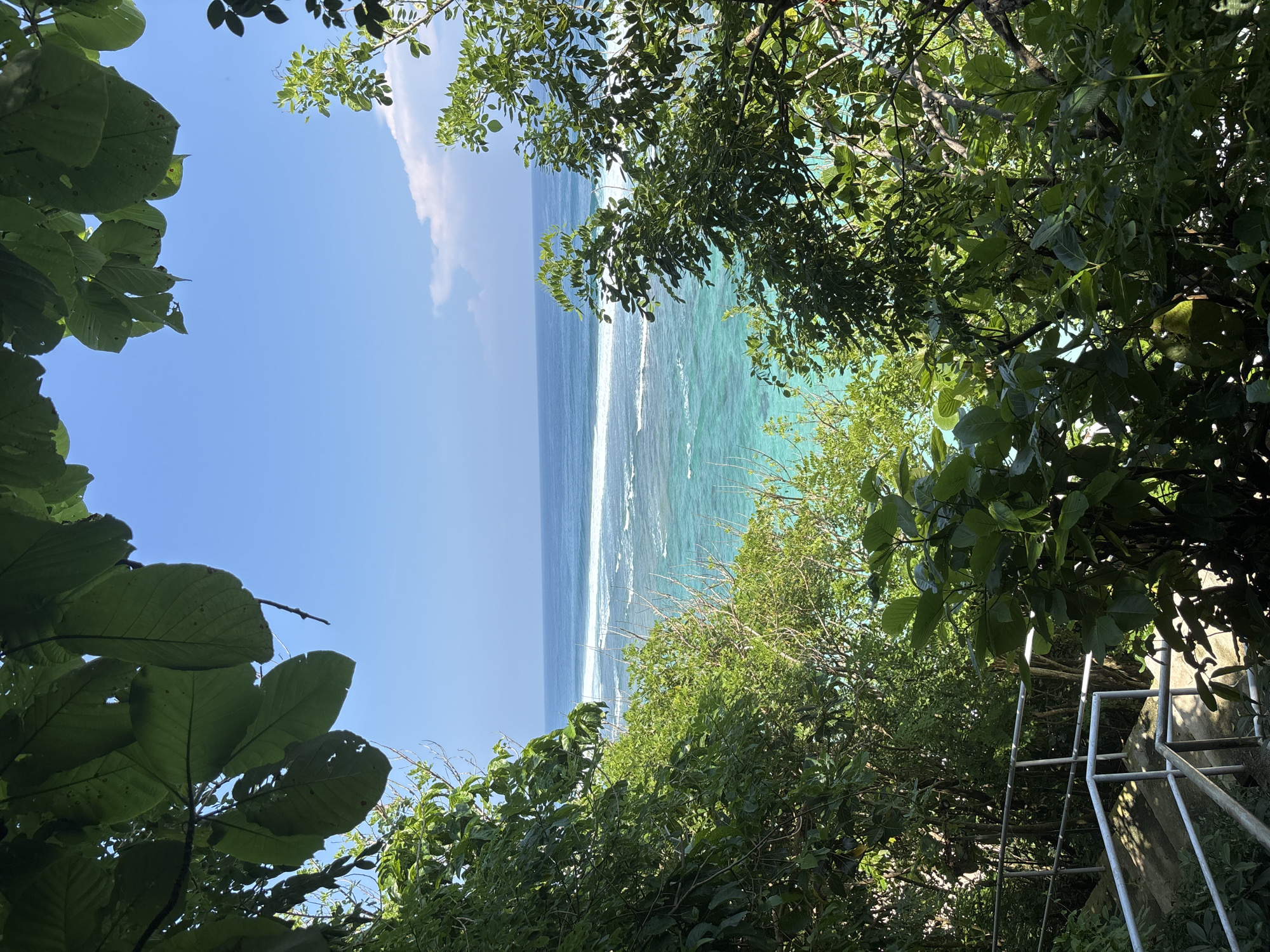 The image displays a panoramic view of the Indian Ocean from an elevated, vegetated vantage point within Ungasan, Indonesia. The upper two-thirds of the frame are dominated by a clear blue sky with a single white cloud visible near the right horizon, transitioning to the ocean. The ocean water exhibits a gradient from deep blue at the distant horizon to a vibrant turquoise closer to the viewpoint, with multiple lines of white breaking waves extending across the mid-ground. The foreground and sides of the frame are densely populated with lush green tropical foliage, including various broad-leafed trees and bushes, some leaves showing small perforations. In the lower-left quadrant, a series of concrete stairs with silver-colored metal handrails descends into the dense vegetation. The scene is illuminated by bright daylight, casting visible shadows on the stairs. No individuals are present in the frame.