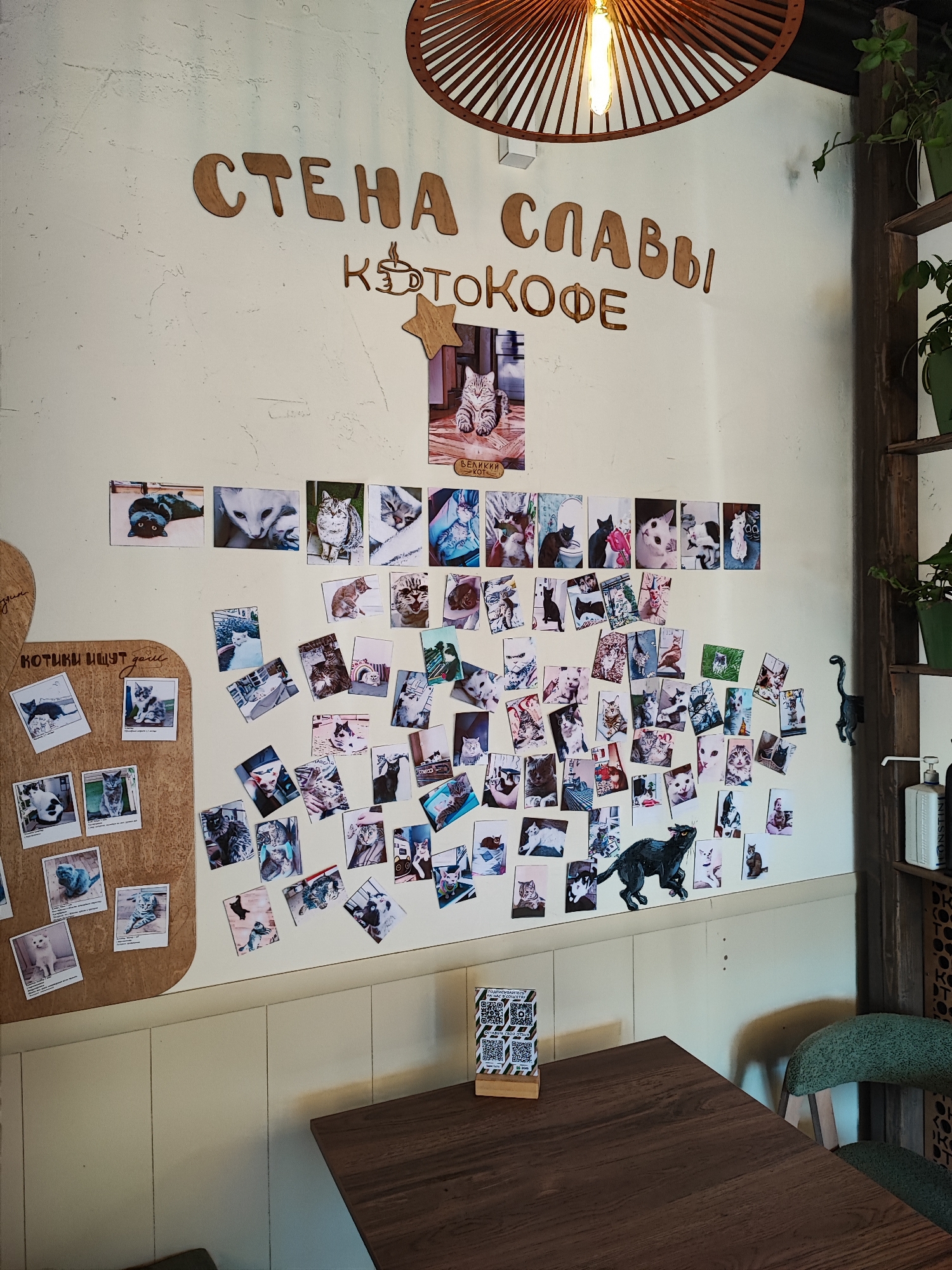 The image shows a wall decorated with many photographs of cats and wooden lettering. The wooden lettering spells out "СТЕНА СЛАВЫ" (Wall of Fame) above a stylized coffee cup icon and "КЭТОКОФЕ" (Keto-Coffee), suggesting the location is a cat-themed cafe. Various small, framed photographs of cats are adhered to the wall in rows and clusters. A large cutout of a black cat is also affixed to the wall. The wall itself is off-white and textured. Above the lettering, a wooden light fixture hangs from the ceiling, emitting light from a single bulb. To the right, a wooden shelf unit holds green potted plants and bottles. A dark wooden table and a green upholstered chair are visible in the foreground. A QR code stand is placed on the table. The scene appears to be an interior shot of a cafe.