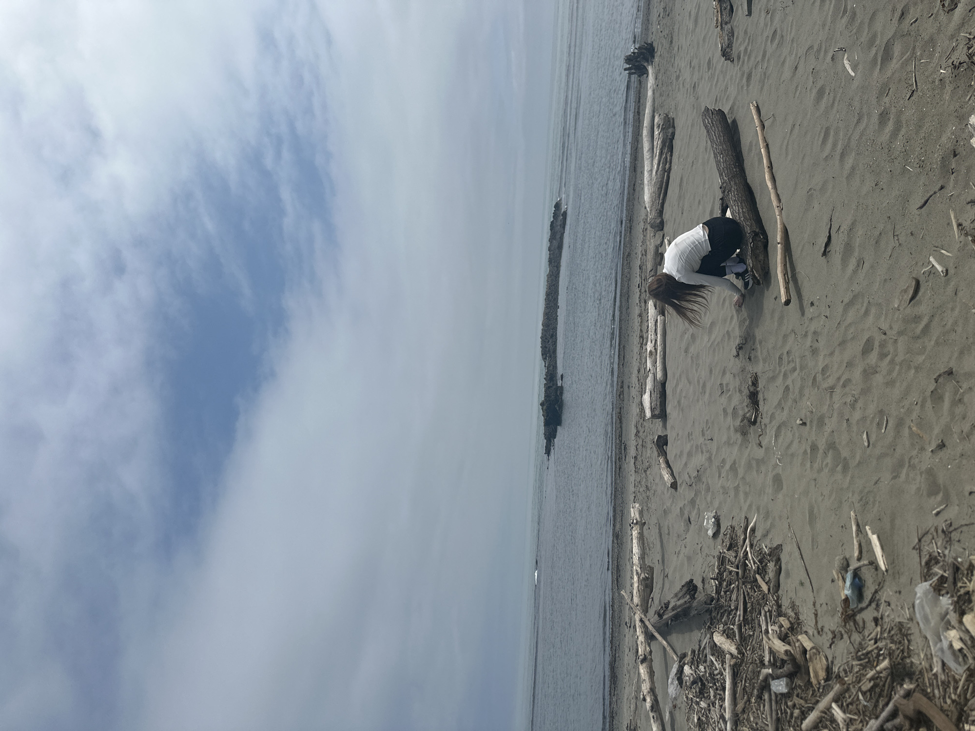 The image depicts a desolate, overcast beach scene. The foreground is dominated by a sandy beach strewn with driftwood of various sizes. A person, appearing to be a young female with long brown hair, is crouched on a large piece of driftwood, facing away from the camera. She is wearing a white long-sleeved shirt and dark pants. To her left, there is a significant accumulation of smaller pieces of driftwood and debris, including some plastic waste. The middle ground shows the calm, grey water of the sea. In the distance, a cluster of dark rocks emerges from the water, with a more distant, elongated breakwater or rocky formation stretching horizontally. The sky above is a mix of grey clouds with patches of lighter blue. The overall impression is one of a quiet, somewhat unkempt natural environment, potentially Zaozernoe, Russia, given the context provided.