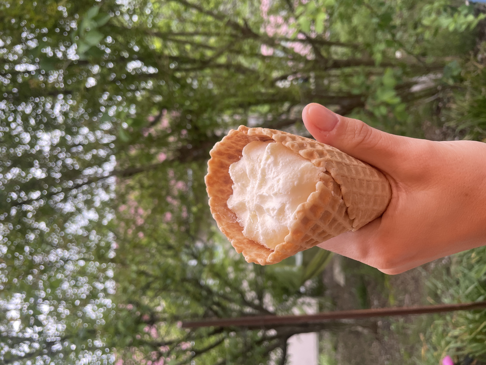 A hand holds an ice cream cone filled with white ice cream outdoors. The background is blurred foliage suggesting a natural or park-like setting. Location information is not determinable from the image.