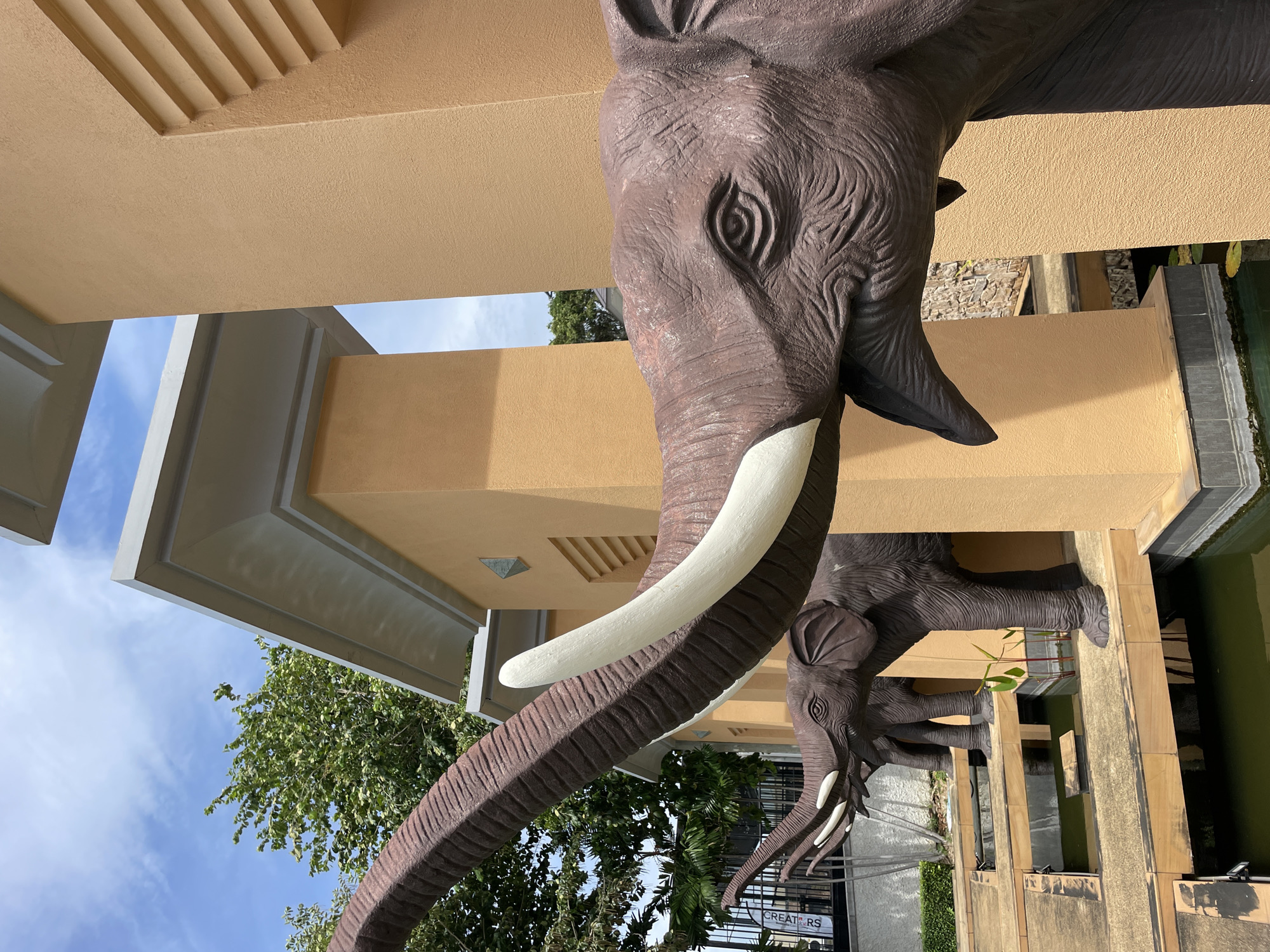 In Nong Prue, Thailand, a close-up shot captures the front portion of a series of dark brown elephant statues positioned along a structure with orange walls and white accents. The statues are arranged in a line, with their trunks raised and extended towards the viewer. The closest elephant statue's head and trunk dominate the foreground, revealing detailed textures resembling wrinkled skin and a large white tusk. Behind it, other elephant statues are visible, their trunks forming receding lines. The elephants are placed on a wooden walkway that overlooks a body of dark green water, possibly a pond or water feature. The background shows a bright blue sky with scattered clouds, green trees, and a glimpse of a fence. The overall scene suggests an outdoor architectural feature or a decorative element in a public space.