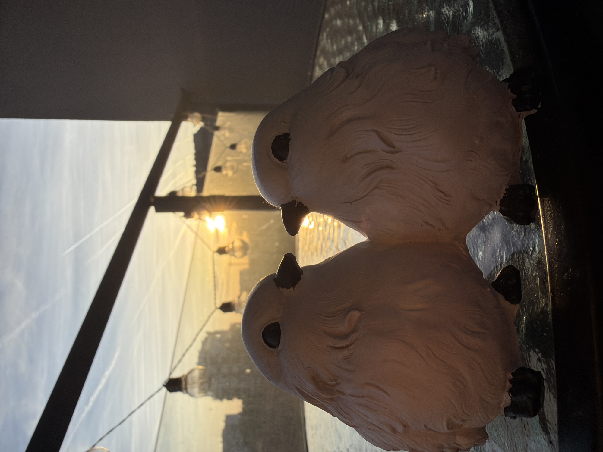 A close-up captures two small, white bird figurines sitting on a reflective surface indoors. Behind the birds, a window reveals a city scene at sunset or sunrise. The window is divided by a black frame, and string lights are visible outside the window. The overall scene is bathed in warm light. The location is the city of Unknown, Unknown.