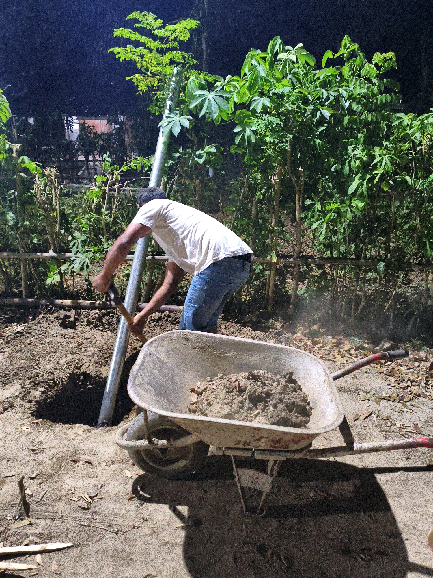 The image captures a nighttime scene in Karangtalun, Indonesia, where a person, wearing a white t-shirt and blue denim shorts, is digging a hole around a metal pole. The ground is disturbed soil, with a wheelbarrow filled with dirt situated in the foreground. Lush green foliage and trees surround the area, illuminated by artificial light. The overall impression is one of manual labor and outdoor work, possibly for construction or planting.