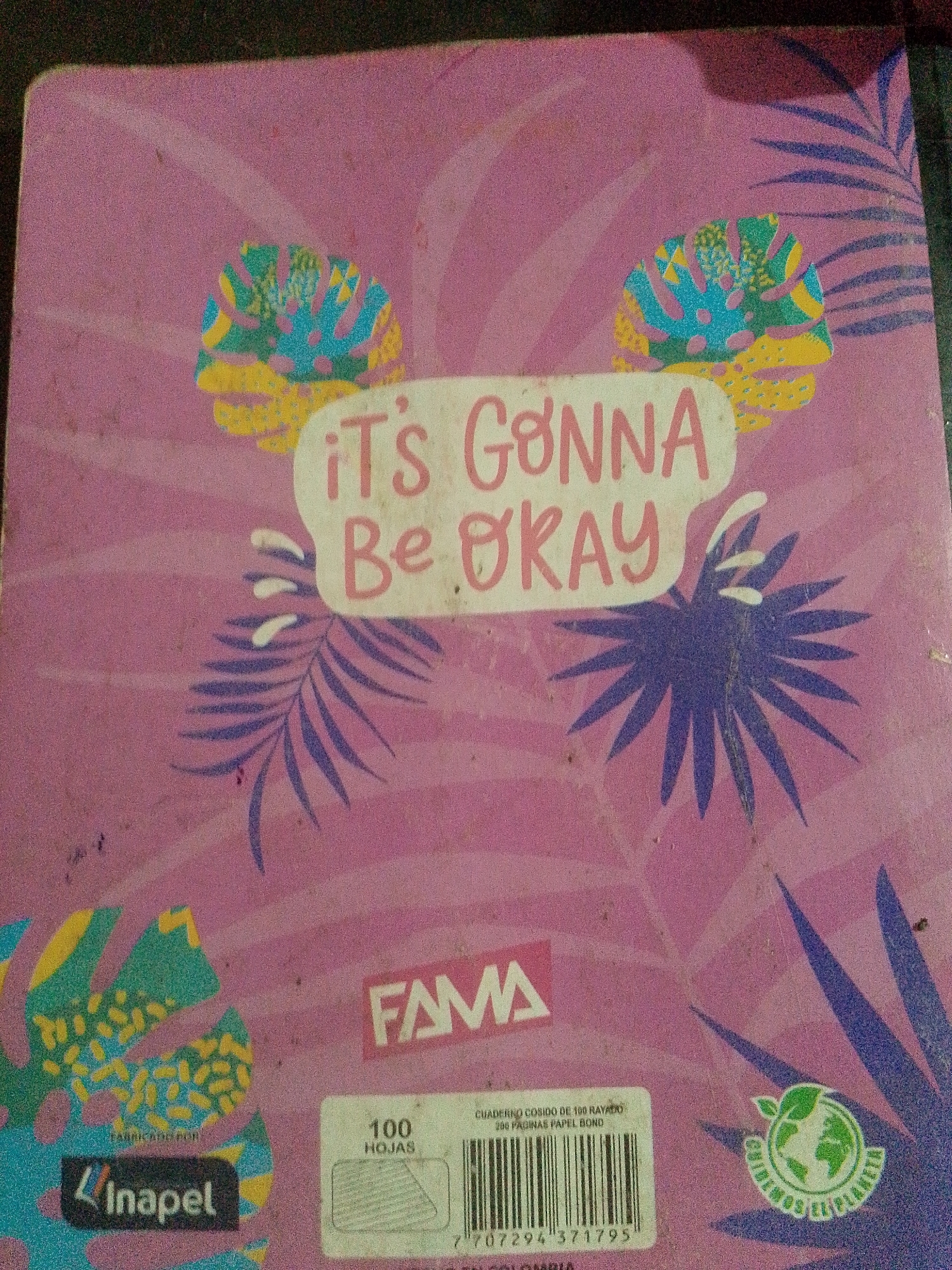 The image is a close-up of a notebook cover. The cover is pink with a purple wavy pattern and features various graphics. In the center, there is a white speech bubble with pink text that reads "IT'S GONNA BE OKAY". To the left and right of the speech bubble are colorful, stylized illustrations of chameleon-like figures. There are also images of palm fronds in purple and dark blue. In the lower left corner, there is a logo that says "inapel". In the lower right, there is a circular green logo depicting the Earth with leaves, and text that appears to say "CUIDEMOS EL PLANETA". Below this, there is a barcode and text indicating "CUADERNO COSIDO DE 100 RAYADO 200 PAGINAS PAPEL BOND".
The image appears to be a photograph of this notebook, taken indoors, likely on a surface that is also dark and textured. There is no indication of the city of Santa Ana, Venezuela, within the image content itself. The image does not contain any people or depict any actions or interactions.