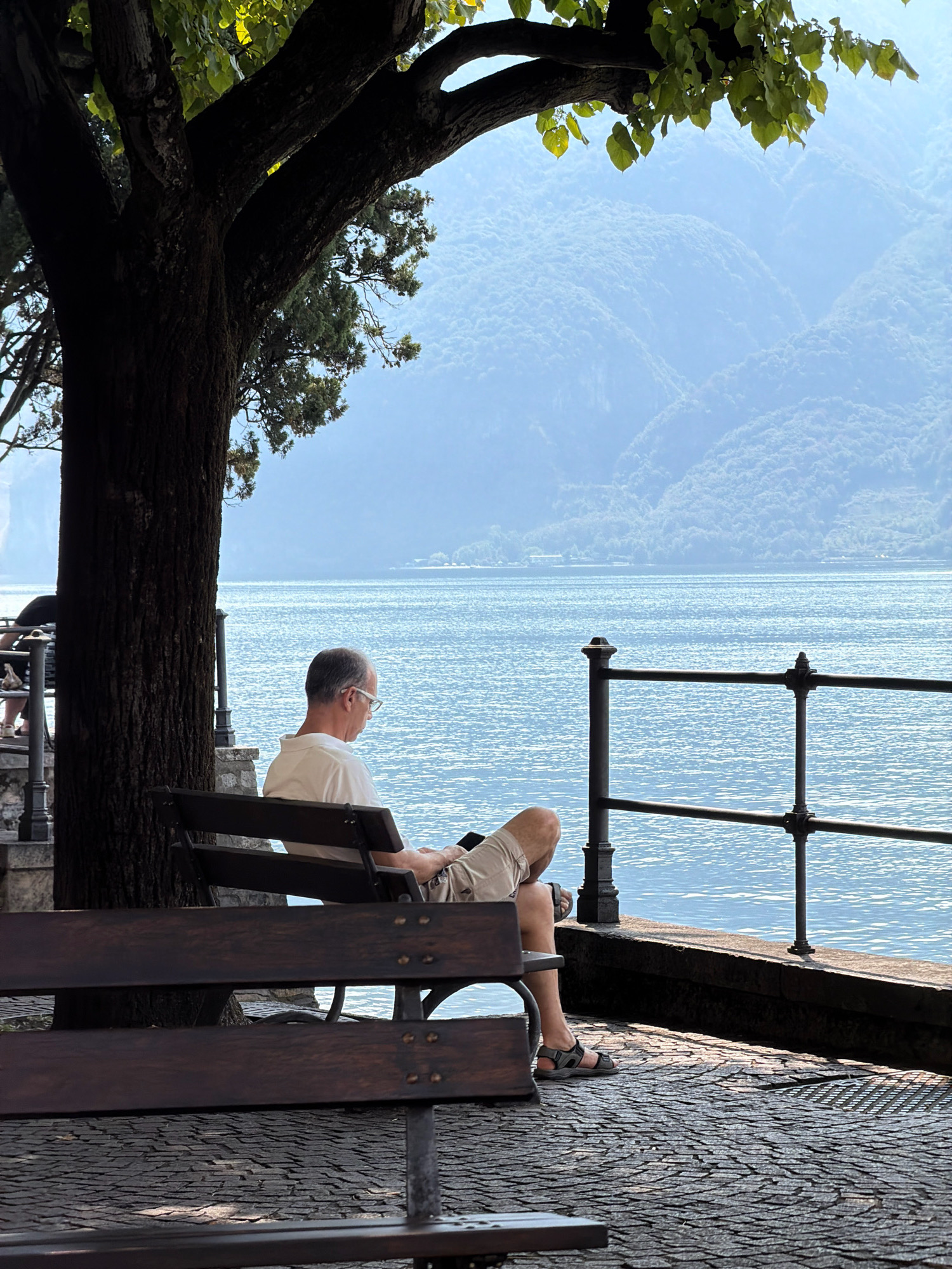 A man is sitting on a wooden bench facing a body of water, with his back mostly to the camera. He is wearing a white polo shirt and khaki shorts, with sandals on his feet. He is looking down at a phone in his lap. The bench is situated on a cobblestone path next to a black metal railing that overlooks the water. Behind the water, hazy blue mountains are visible. A large tree with dark bark and green leaves is to the left of the man, partially obscuring the view of the mountains. The scene appears to be a waterfront promenade, likely in Mandello del Lario, Italy, given the setting with a lake and mountains. The lighting suggests it is daytime, possibly late afternoon, with dappled sunlight on the cobblestones.