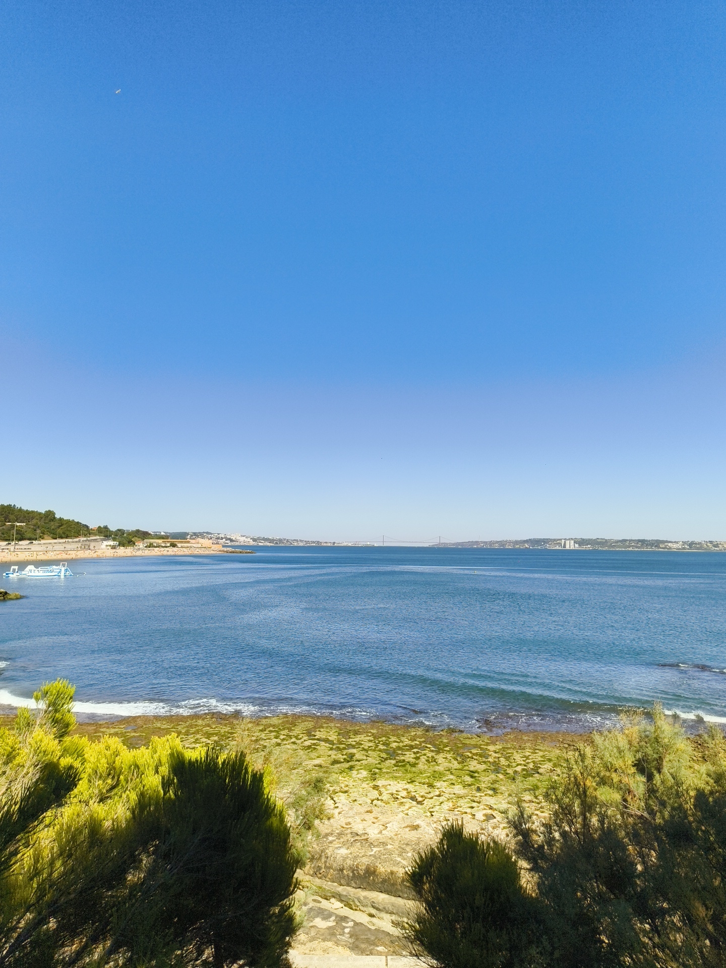 This is a wide-angle, eye-level shot of the coastline in Oeiras, Portugal, looking out over the Tagus River estuary towards a distant city skyline and a suspension bridge. The sky is a clear, bright blue with no clouds. In the foreground, dense, green shrubbery with textured, needle-like leaves dominates the lower portion of the frame, casting shadows on the sandy, rocky ground below.
The middle ground features a rocky, low-lying shoreline with patches of green algae or moss. Gentle waves break along the edge of the water, creating white foam. A floating water park structure, white with blue accents, is visible in the water near the shore. Beyond the water park, a sandy beach is lined with people and buildings, suggesting a populated area with amenities. Further out, the expansive, blue water of the Tagus River stretches to the horizon.
In the distance, the city skyline is visible on the far bank, characterized by buildings of varying heights. The most prominent structure is a large suspension bridge spanning the river. The overall scene is bathed in bright daylight, indicating a sunny day.