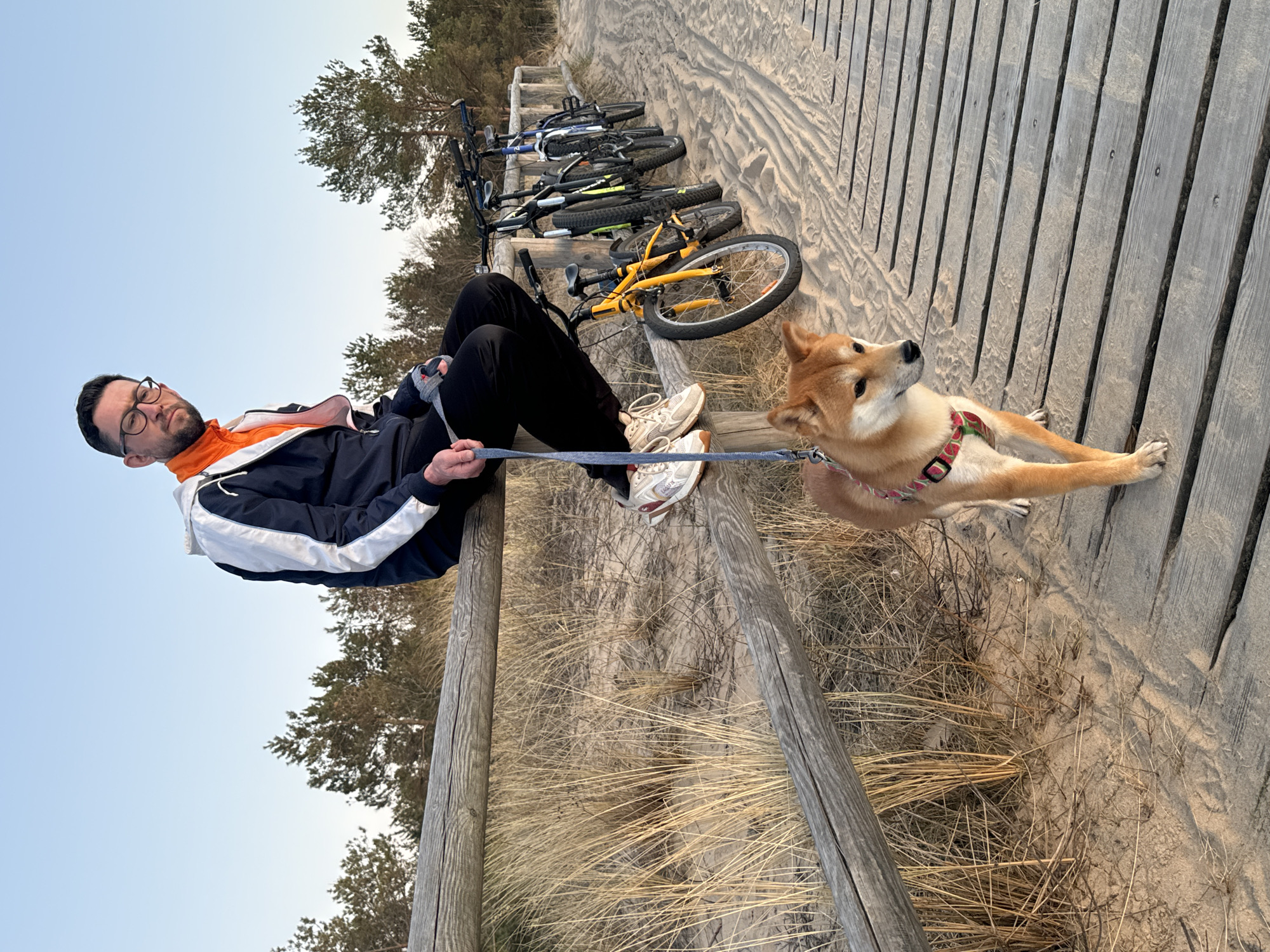 A man and a Shiba Inu dog are positioned on a wooden boardwalk in Riga, Latvia. The man is sitting on the edge of the boardwalk, wearing glasses, a navy jacket with white trim and an orange inner layer, black pants, and white sneakers. He is holding the dog's leash. The dog is lying on the boardwalk, attached to the leash and wearing a harness with a strawberry pattern.
Behind the man and dog are several bicycles parked on a sandy area adjacent to the boardwalk. Trees are visible in the background, and the sky is light blue.