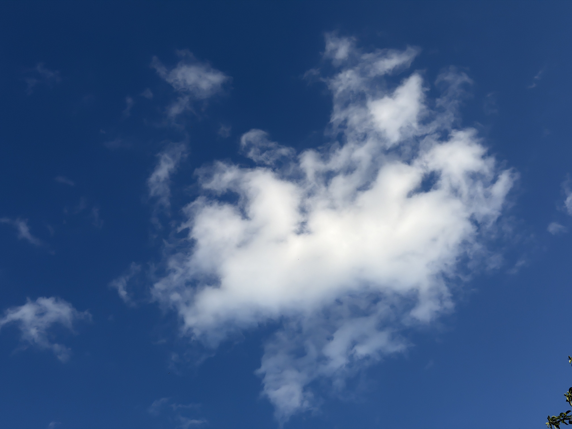 The image shows a blue sky with scattered white clouds. The lower left corner of the image includes a sliver of dark green foliage, likely tree leaves. The main focus of the image is a large, fluffy cloud formation in the center, with smaller wisps of clouds surrounding it. The lighting suggests it is daytime, with the sun illuminating the clouds from above. There are no people, animals, or man-made structures visible in the image. The location is specified as Tvarditsa, Bulgaria.