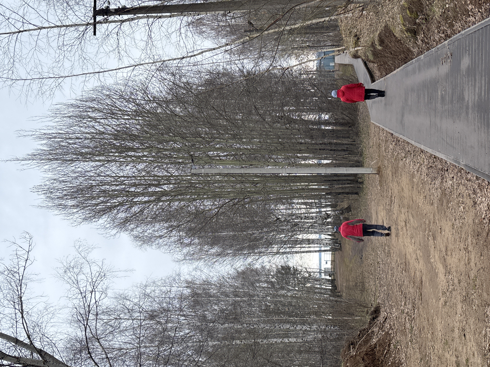 The image depicts a scene along a pedestrian walkway in what appears to be a park or wooded area in the city of Chaikovsky, Russia.
Environment: The ground cover on either side of the walkway consists of dirt and leaf litter. Bare trees line the path, suggesting it is either winter or early spring. The sky is overcast.
Objects: A pedestrian walkway is present.
People: Two individuals are visible. One is walking on the walkway and wearing a red jacket and light-colored head covering. The other one is walking on the dirt path and wearing a red jacket, jeans, and dark shoes.