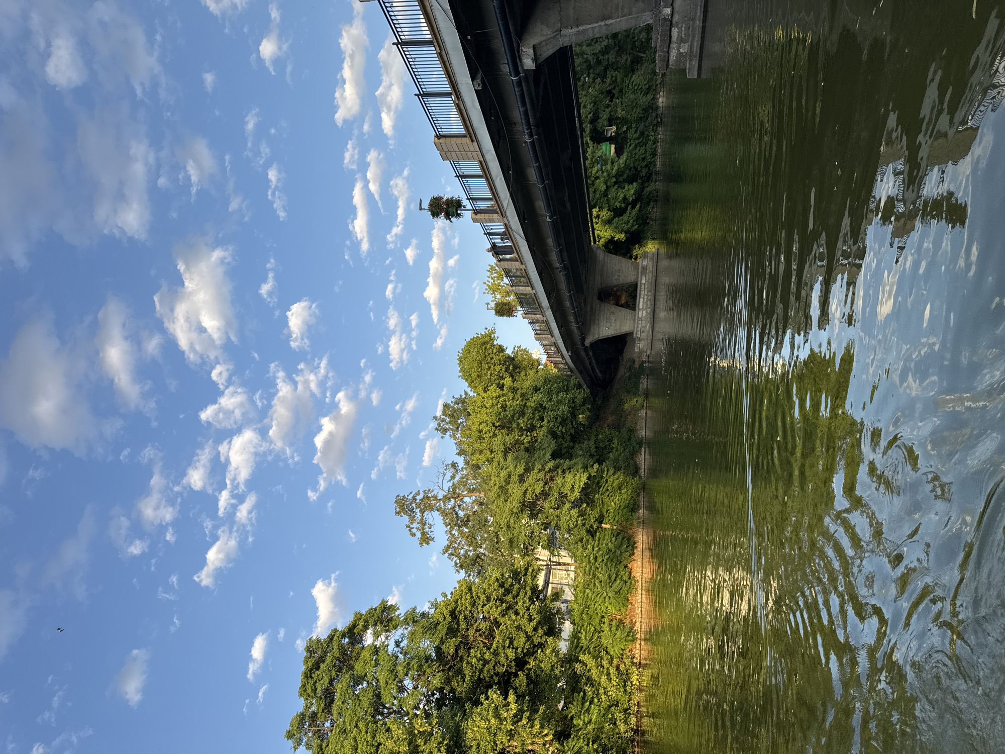 The image depicts a bridge spanning a body of water, likely a river or canal, in Yambol, Bulgaria. The bridge is constructed from concrete and metal, with a railing along its top. Lush green trees line the banks of the water and extend up the embankment towards the bridge. The sky above is a bright blue, dotted with fluffy white clouds. The water's surface reflects the surrounding greenery and the sky, creating a dappled effect. There are no people visible in the image, but two flower planters are mounted on the bridge's railing. The scene suggests a peaceful, natural environment within an urban setting.