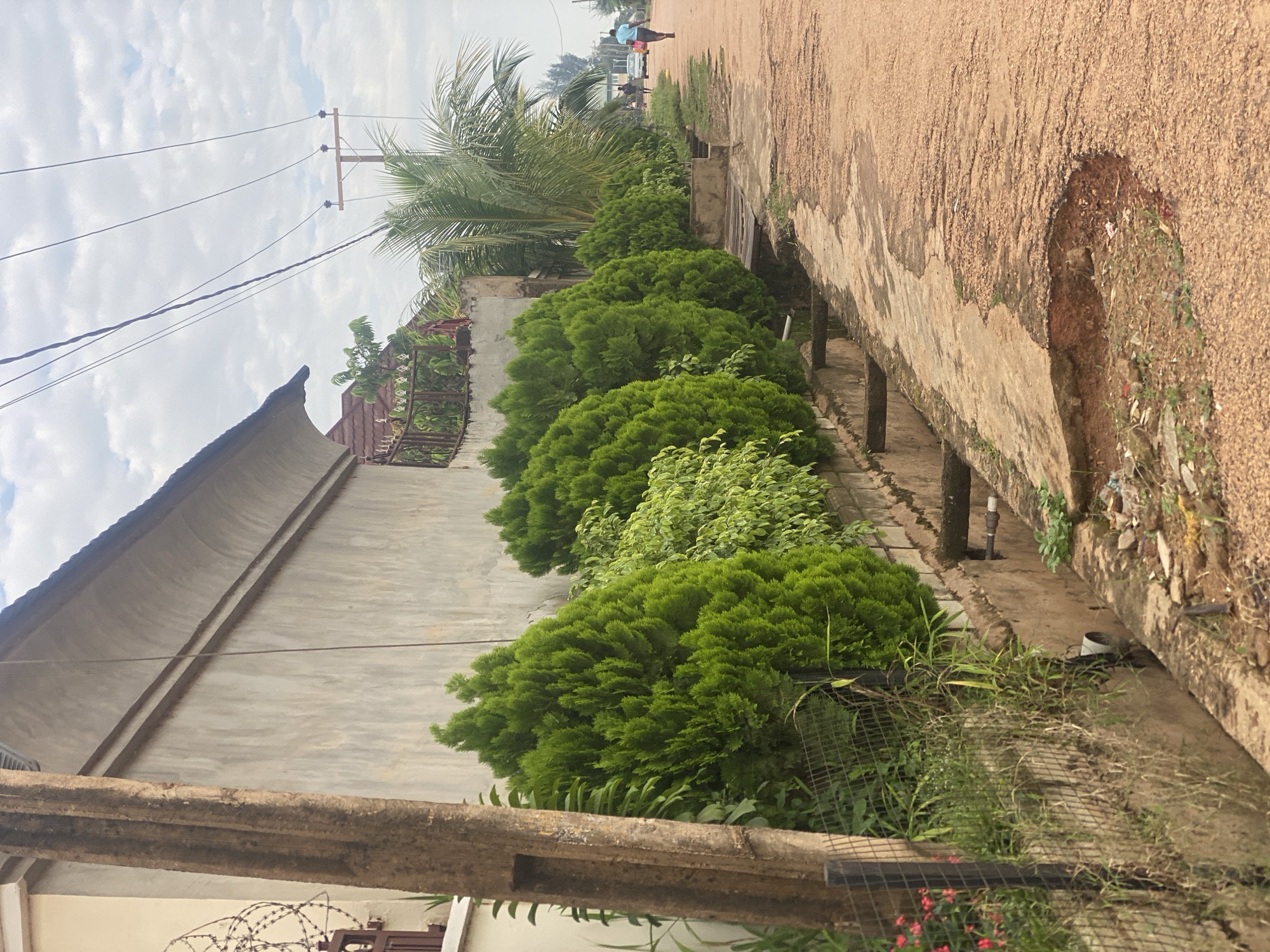 In Barden Yana, Nigeria, a road runs alongside a wall with a row of well-maintained, cone-shaped green shrubs. A concrete drainage ditch runs parallel to the road and the shrubs, with a concrete path bordering it. The road itself is unpaved and appears to be made of reddish earth and gravel, with some sections showing signs of wear and tear. A utility pole with wires stands further down the road, and a palm tree is visible behind the shrubs. In the distance, a person in a blue shirt walks away from the camera on the road, and two vehicles are also visible. The sky is partly cloudy.
