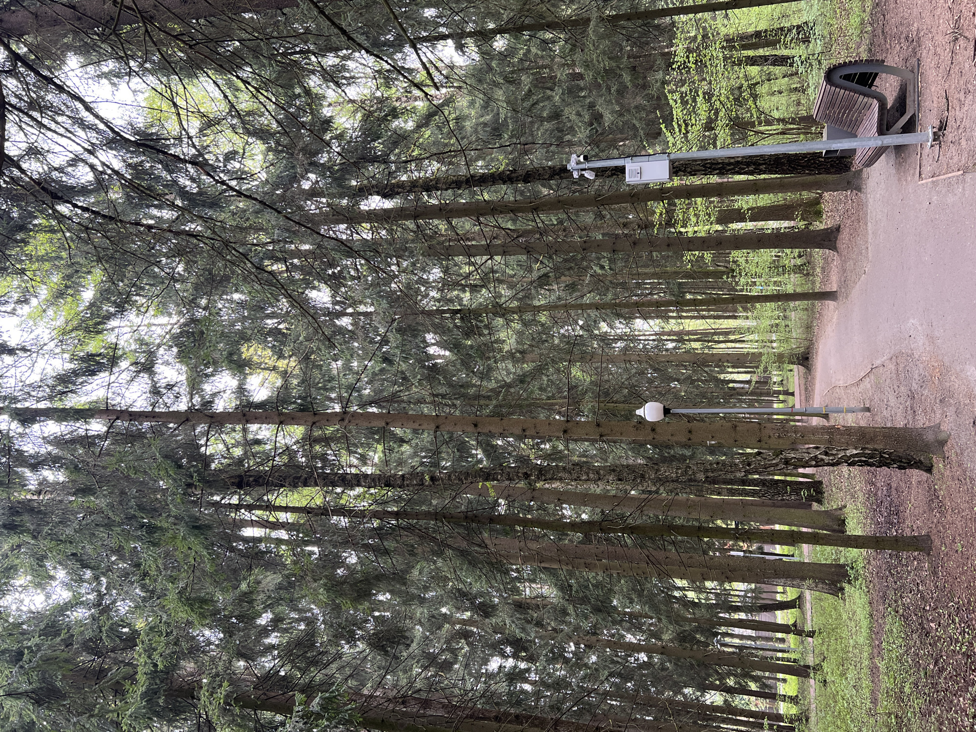 The image depicts a paved path through a dense coniferous forest in Vnukovo, Russia. Tall, straight pine trees line both sides of the path, their dense canopies partially obscuring the sky. A wooden bench with a metal frame sits beside the path on the right. A metal post with a small white box and possibly a camera or sensor attached is next to the bench, suggesting surveillance or environmental monitoring. Another similar post with a white globe-shaped light is further down the path. The ground is covered with grass and fallen pine needles. No people are visible.