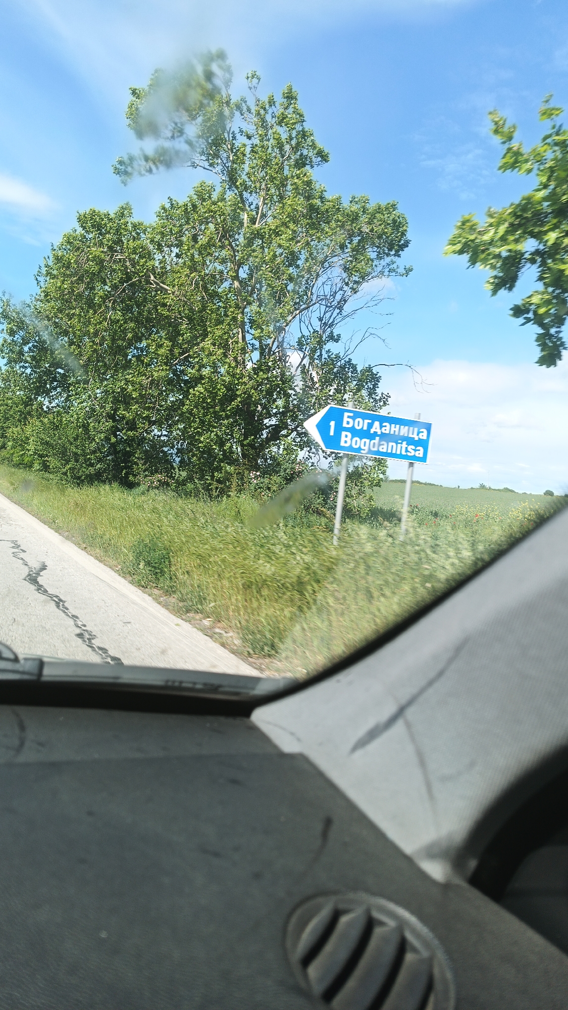 A view from inside a vehicle depicts a roadside scene near Bogdanitsa, Bulgaria. A blue sign indicates "Bogdanitsa" with "1" above the name, implying it is one kilometer away in the direction of the arrow. A large green tree stands adjacent to the sign. The road surface is visible, along with grassy vegetation. The vehicle's dashboard is in the foreground. The sky is blue with scattered clouds.