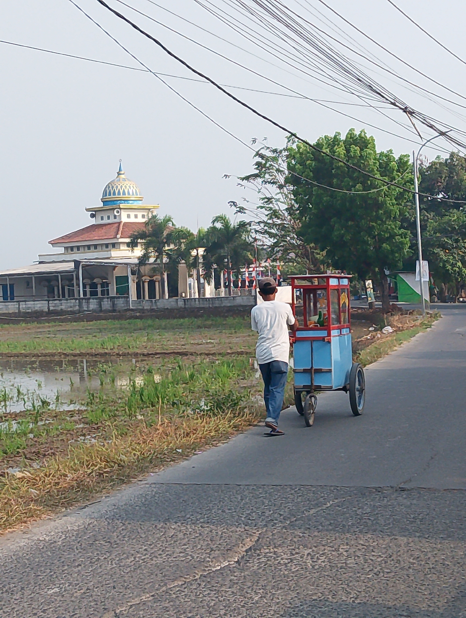A man wearing a white t-shirt and blue jeans pushes a blue and red cart with two wheels along a paved road in Karawang, Indonesia. The cart appears to be a food cart, possibly for popcorn, given the transparent display case and red trim. Behind the man, a mosque with a blue and gold dome is visible, surrounded by palm trees. To the left of the mosque, a field of green grass and water, likely a rice paddy, stretches out. Overhead, a network of power lines crisscrosses the sky. The scene suggests a typical day in a semi-urban or rural area of Karawang, with everyday activities taking place against a backdrop of local architecture and landscape.