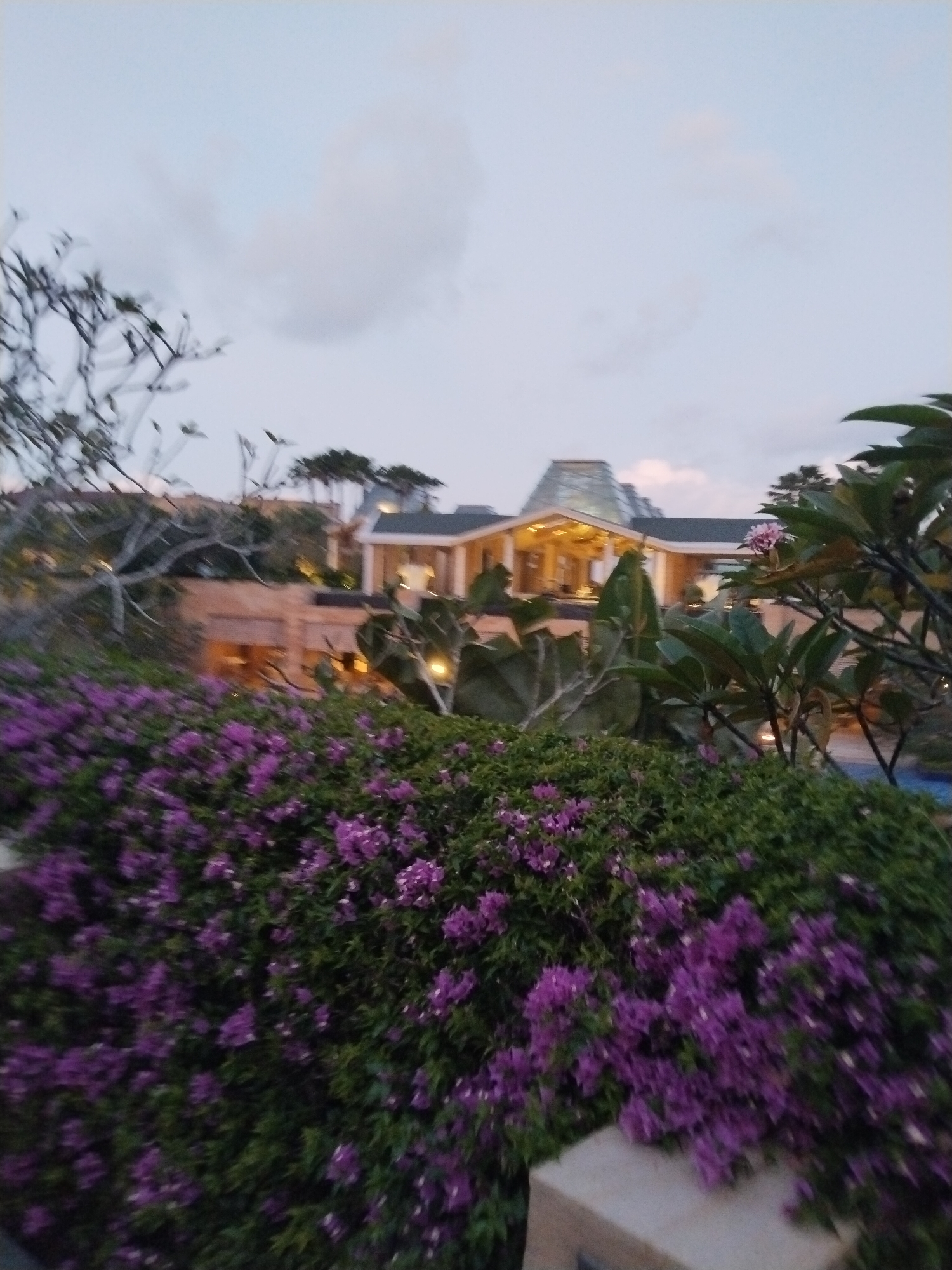 The image presents a view towards a building with a distinct angular, glass-covered roof, located in Kuta Selatan, Indonesia. The building appears to be illuminated from within, suggesting it is either evening or twilight. In the foreground, a dense collection of purple flowers dominates the view, growing on a green, bushy plant. To the left and right of the flowers, trees with sparse foliage are visible. The sky is overcast, with clouds scattered throughout. The scene is somewhat blurred, suggesting either a slight camera shake or a shallow depth of field. The light quality is subdued and soft.