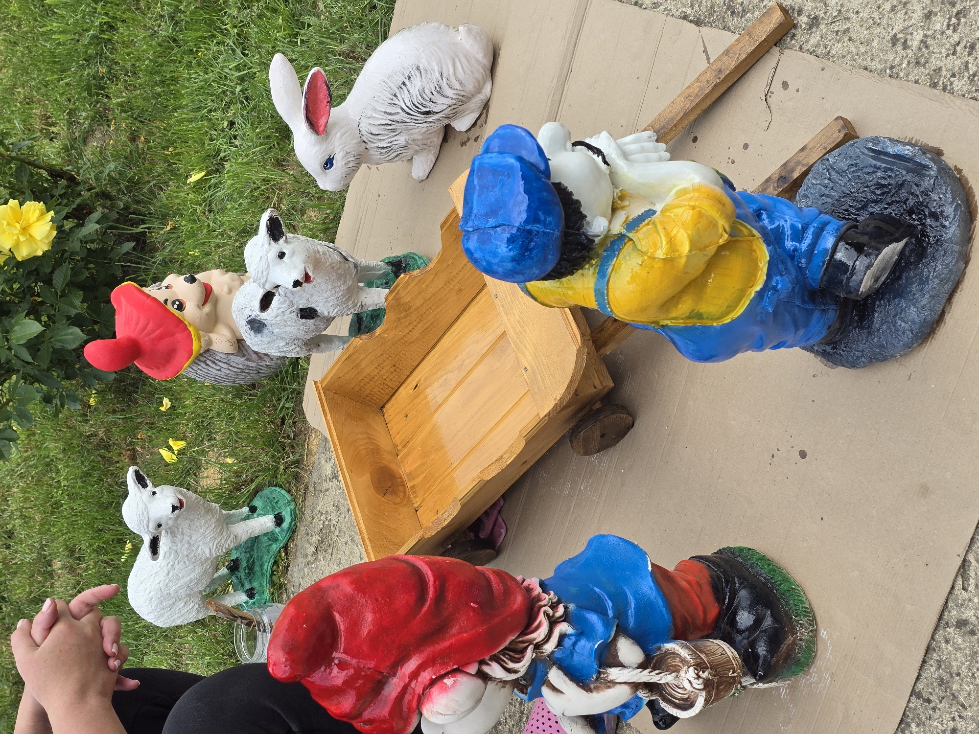 The scene depicts a collection of garden ornaments arranged on a piece of cardboard, possibly in a yard. The ornaments include a white rabbit, several small white lambs on green bases, a gnome with a red hat and a smiling face, and two larger gnomes in blue and red/yellow outfits, one with a fishing rod. A small wooden cart is also present. A yellow rose is visible in the background, growing in the grass. Human hands are visible in the lower left of the frame. The ground is partially grass, and partially cardboard. There is no data to suggest the location being Botevo, Bulgaria.